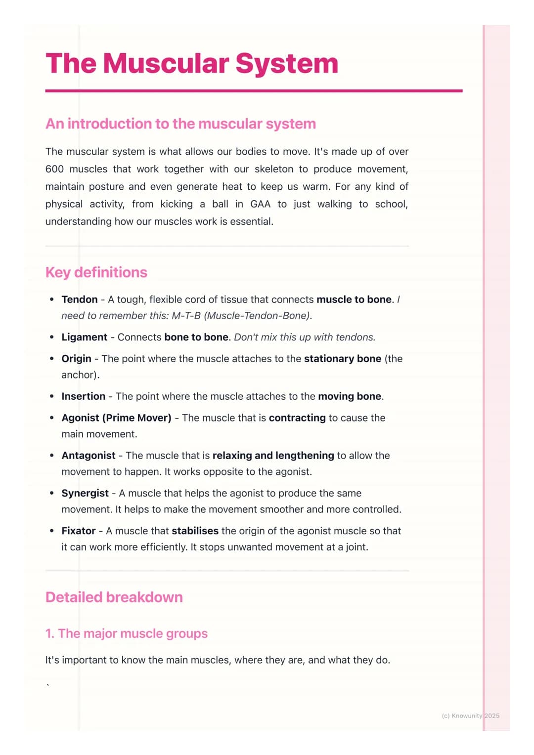 # The Muscular System
An introduction to the muscular system
The muscular system is what allows our bodies to move. It's made up of over
6