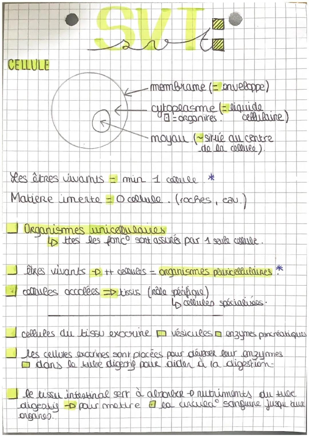 CELLULE
-membrame (= enveloppe)
cytoplasme (liquide
organires
cellulaire)
moyau (~sirve all centre
de en cellule).
Hes êtres vivants = m