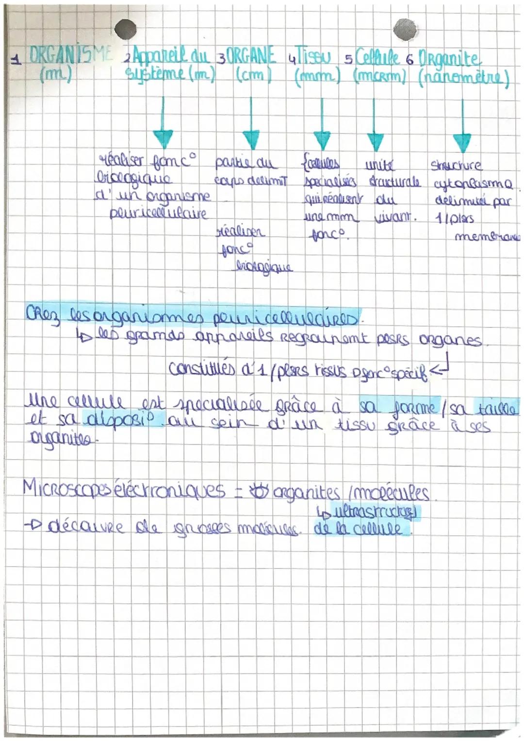 CELLULE
-membrame (= enveloppe)
cytoplasme (liquide
organires
cellulaire)
moyau (~sirve all centre
de en cellule).
Hes êtres vivants = m