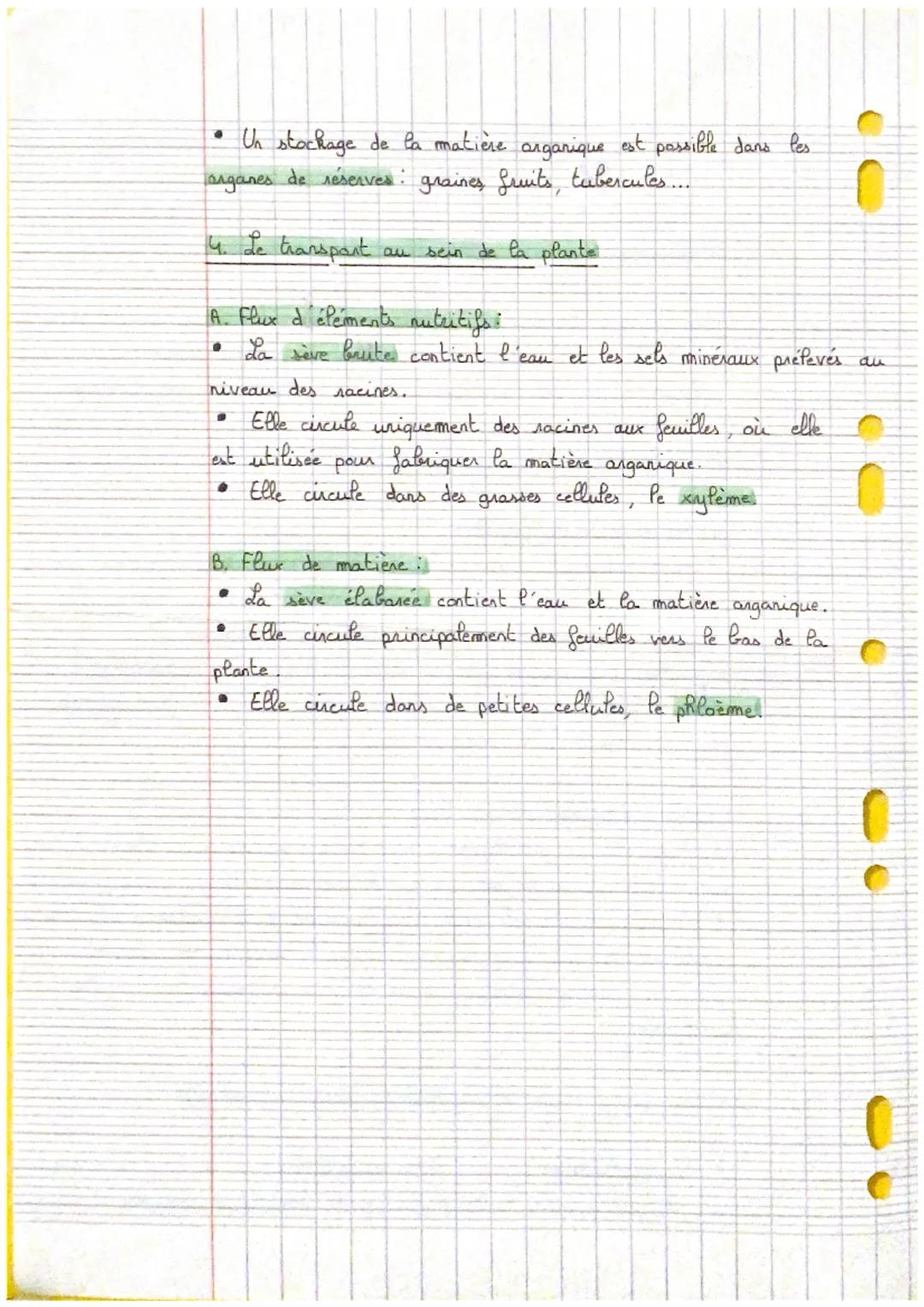4e
Nutrition et arganisations
des plastess
1. Les besoins d'une plante chlorophylienne
Pour produire la matière anganique nécessaire à la