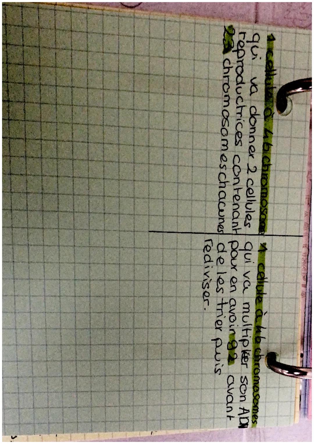 SVT
MEIOSE-HITOSE
DÉLOSE-
• La meiose est le processus de double diviso
cellulaire permettant la format de cellules
sexuelles chez les organ