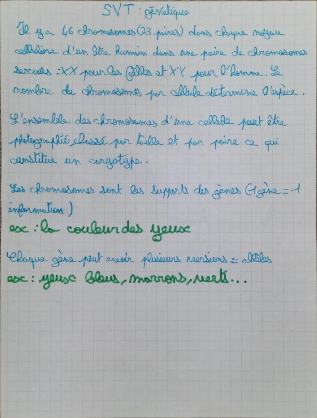 Révision sur la génétique (chromosomes)