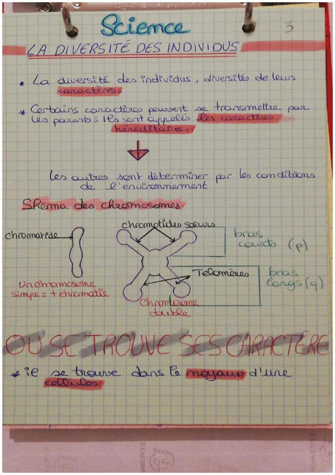 La diversité des individus