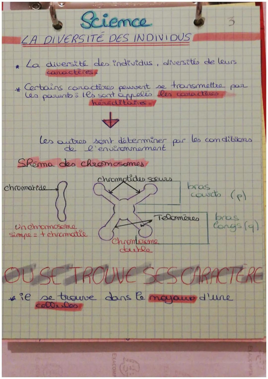*
*
Science
LA DIVERSITÉ DES INDIVIDUS
La diversité des individus, diversités de leurs
caractères
Certains caractères peuvent se transmettre