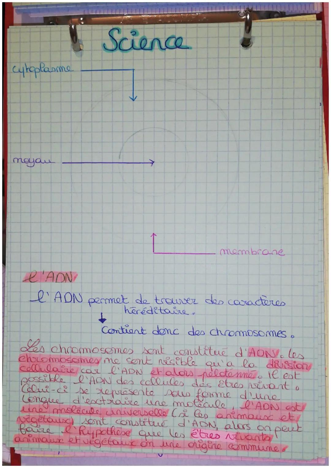 *
*
Science
LA DIVERSITÉ DES INDIVIDUS
La diversité des individus, diversités de leurs
caractères
Certains caractères peuvent se transmettre