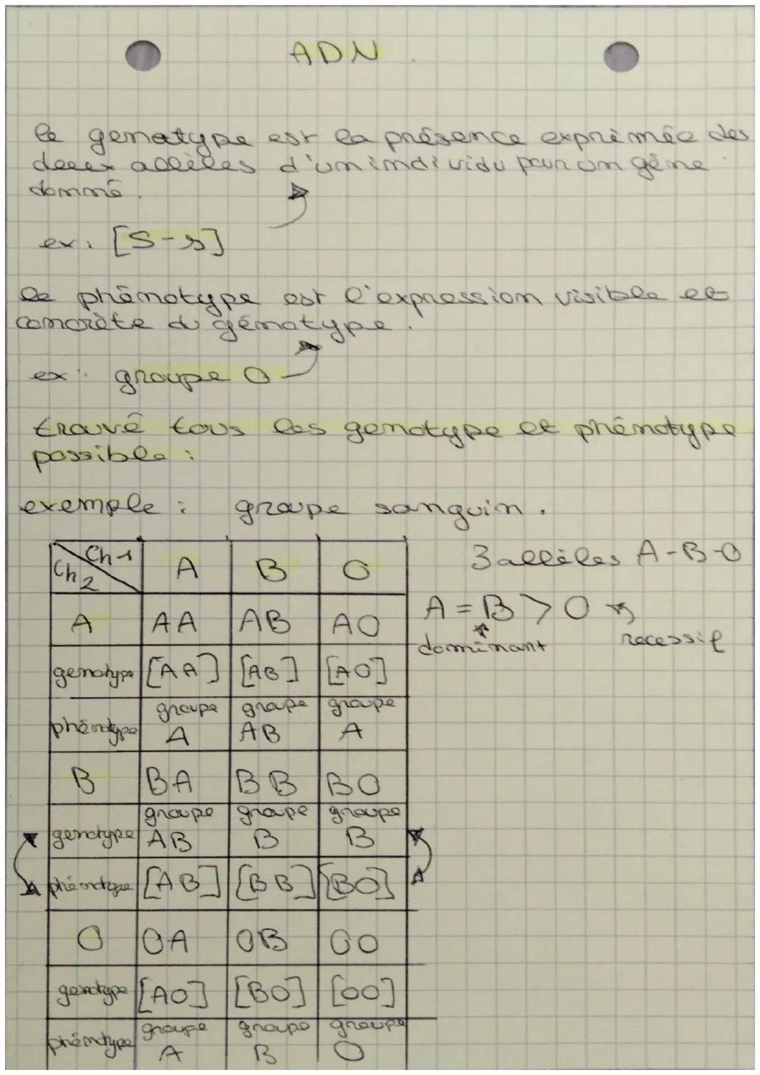 motion de gène.
ADN
gème pour la
pigmentation de
ta poseer
definition: un gène est une portion de chromosom
-es constitué d'ADN at codon't p