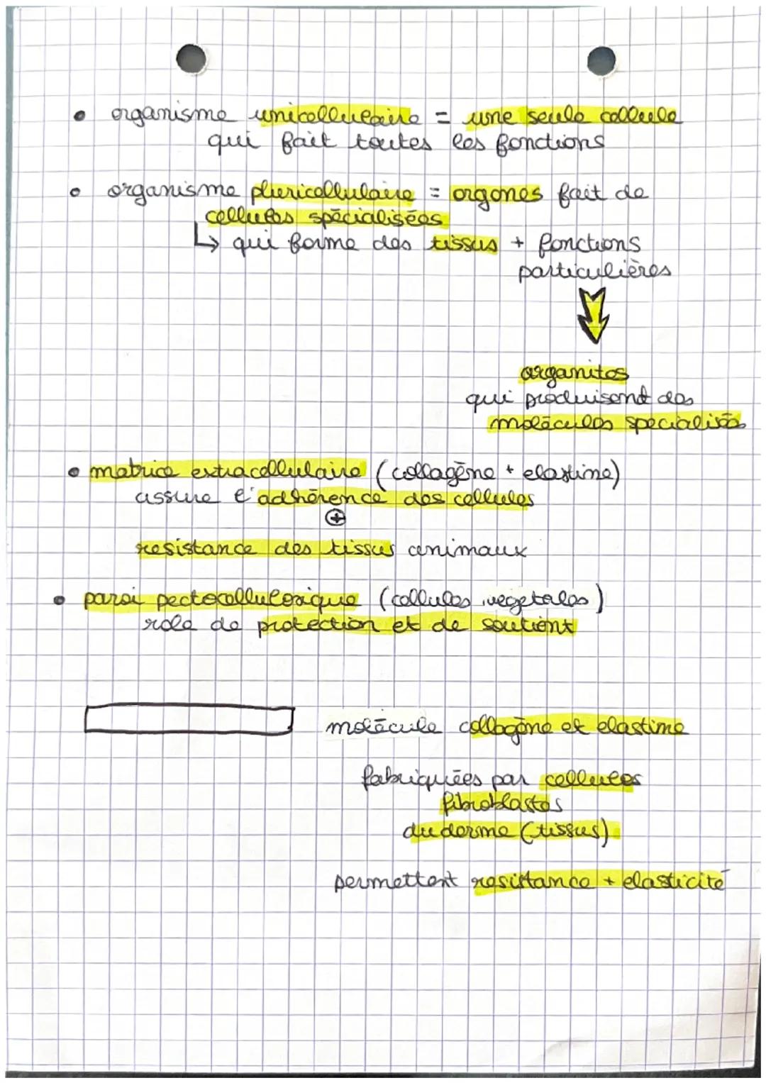 ORGANISME:
ORGANE
TISSUS
CELLOLES
ORGANITES
MOLECULLES
organites des cellules
chloroplaste
H₂O
+
mineraux
reticulum
mitochondries
vacude
mag