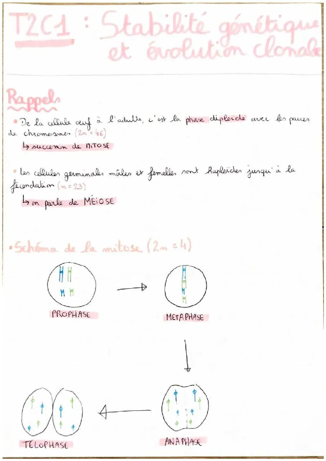 Chapitre 1 génétique : Stabilité génétique et évolution clonale