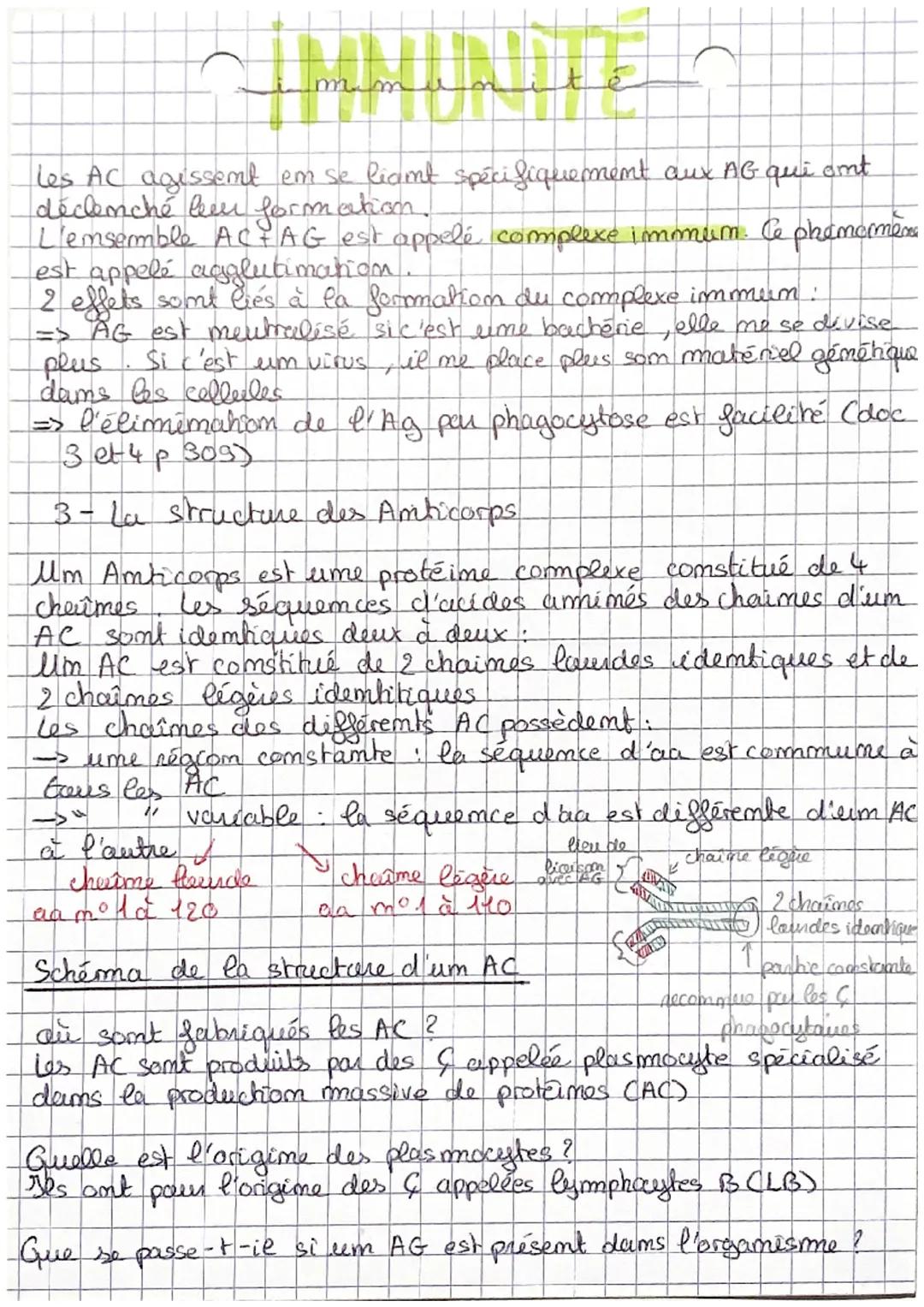 CHAP 2: L'immumite adaptative
l'emmermité adaptative
- 2 types de réponses.
* repomse humorale
fait embervenir des molècules Canticorps).
