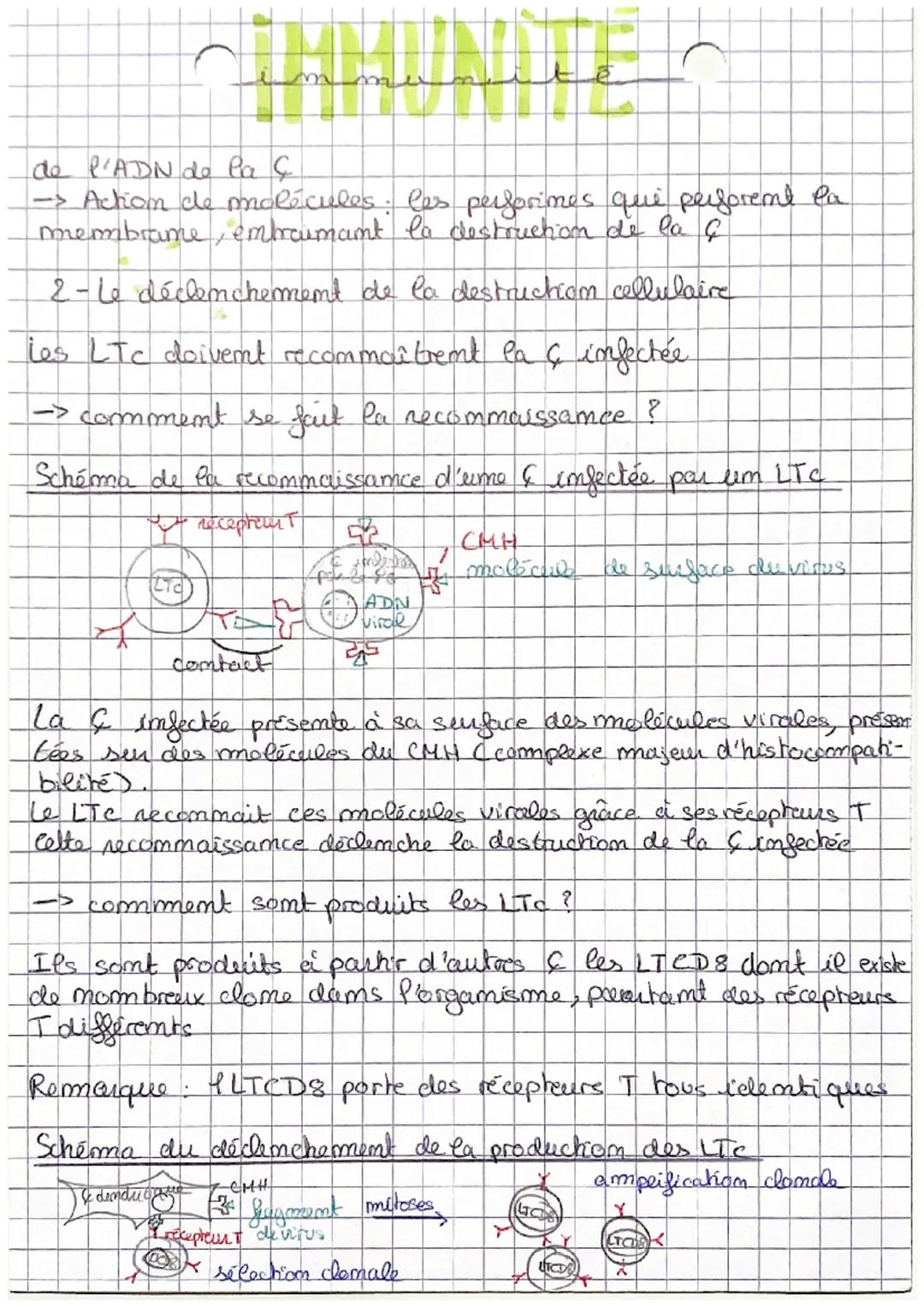 CHAP 2: L'immumite adaptative
l'emmermité adaptative
- 2 types de réponses.
* repomse humorale
fait embervenir des molècules Canticorps).