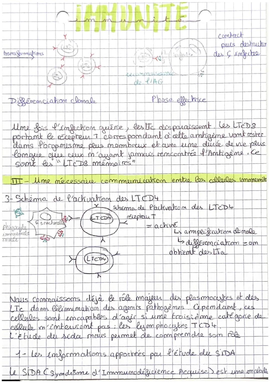 CHAP 2: L'immumite adaptative
l'emmermité adaptative
- 2 types de réponses.
* repomse humorale
fait embervenir des molècules Canticorps).