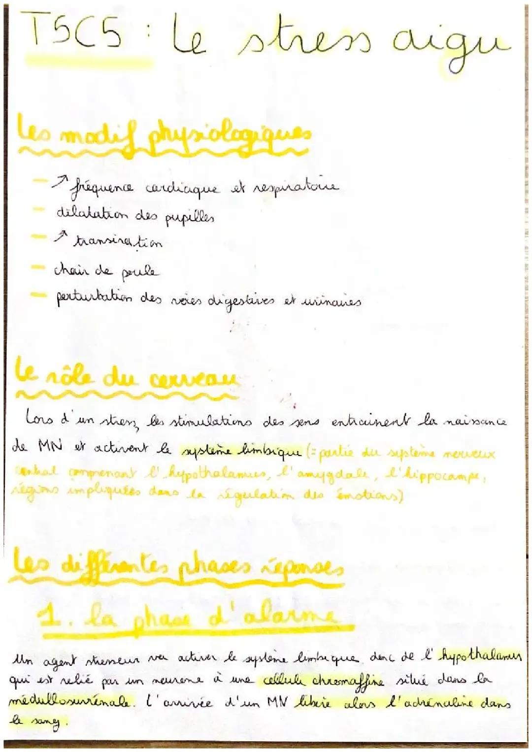 Chapitre 5 : Le stress aigu