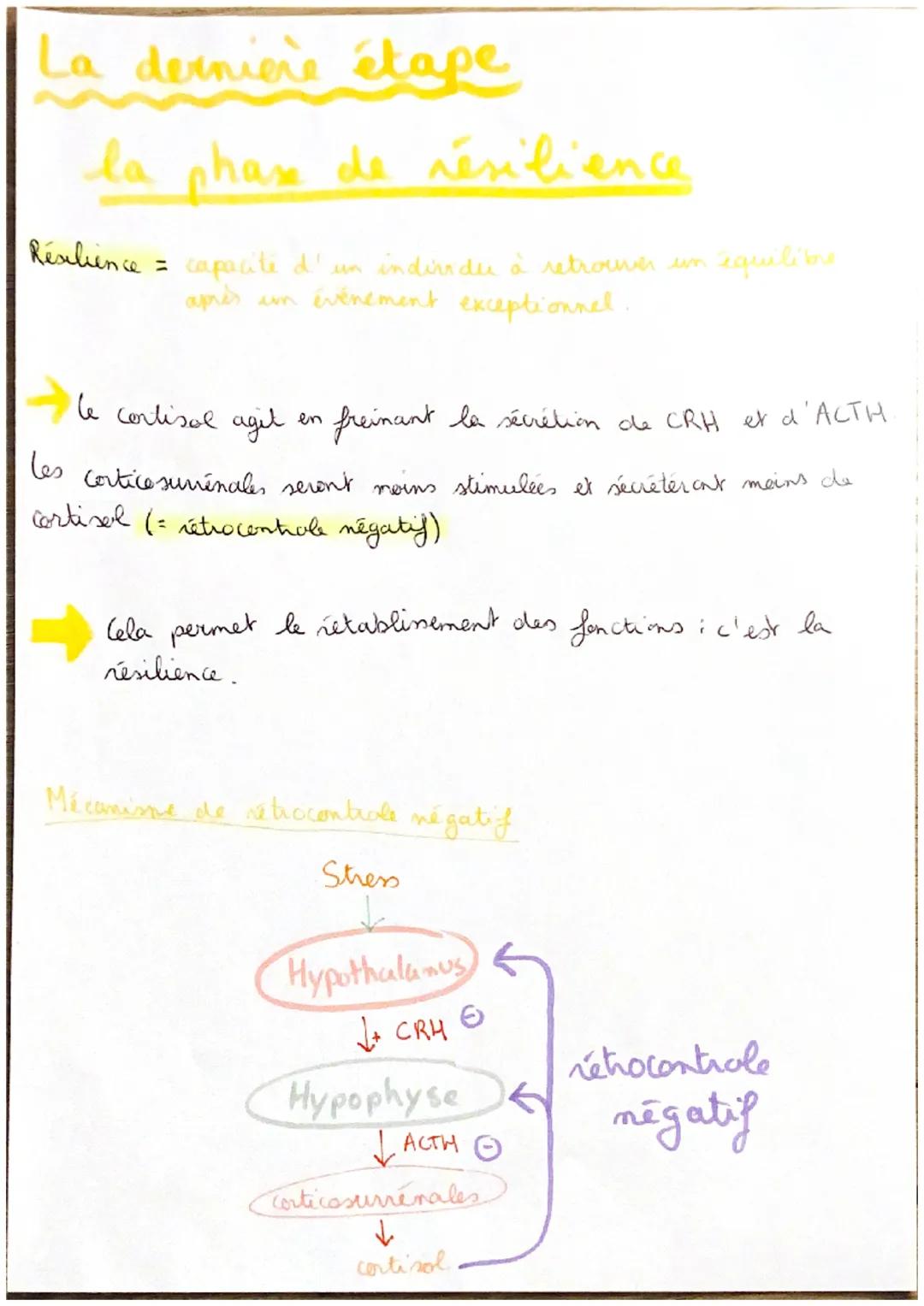 T5C5
TSCS le stress aigu
physiologiques
ㅈ
"fréquence cardiaque et respiratoire
dilatation des pupilles
les modif
A
transination
chair de pou