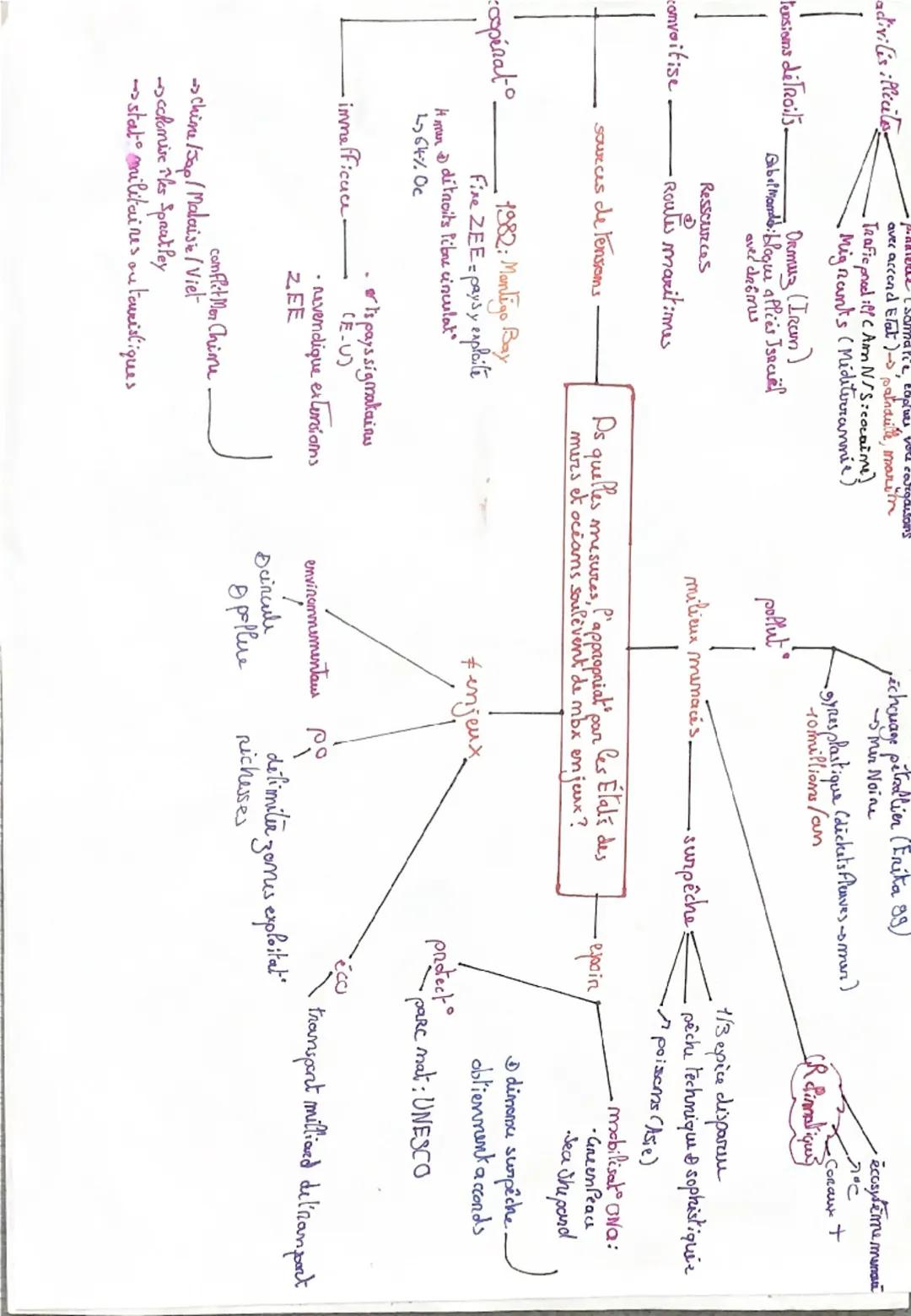 - paste Abfantique Nord, Pacifique (Pencu, Chili)-
pêche imlensive
dilocalisat prod. imd (70-80)
entreprises de pays avec main d'un bon
écha