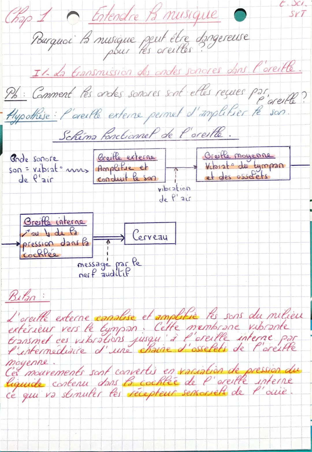 Chap 1 Entendre ß musique •
Burquoi B musique peut être dangereuse
B.
pour
Il La Eransmission des ondes sonores dans l'oreille.
Ph: Comment
