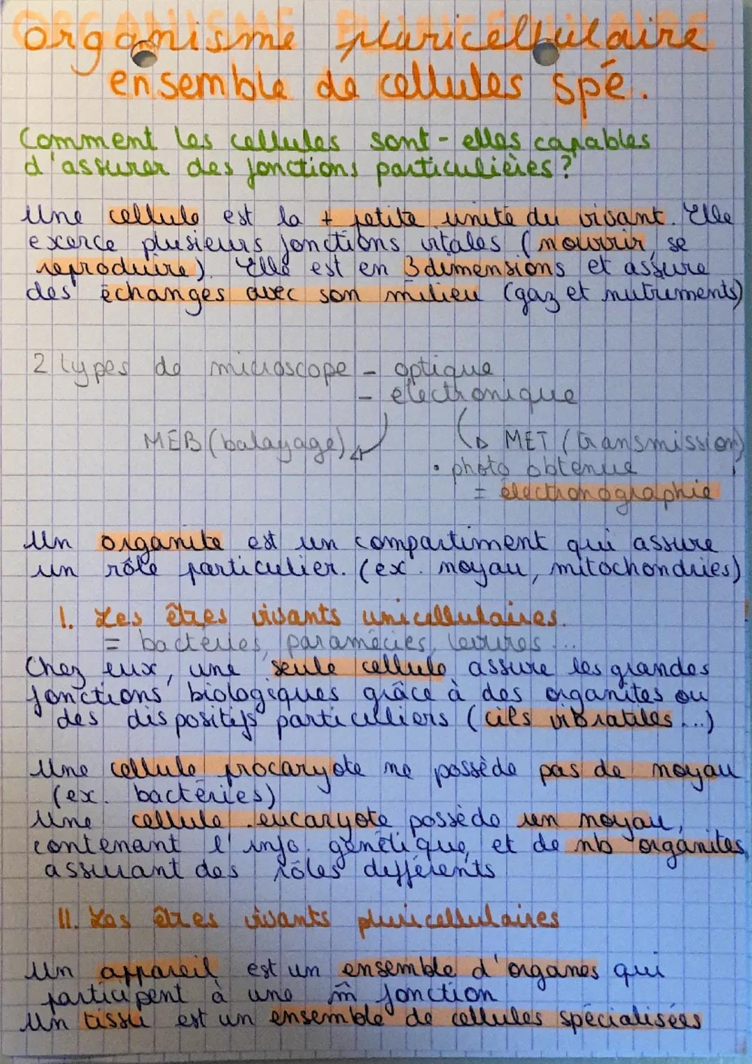 organisme paricelfulaire
ensemble de cellules spé.
Comment les cellules sont-elles capables
d'assurer des fonctions particulicies?"
une cell