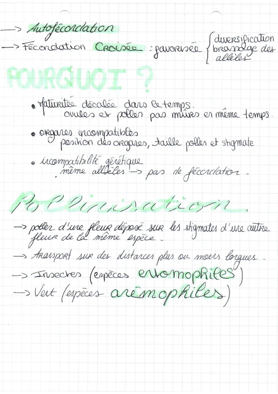 da Reproduction asexuee
= multiplication végérative.
- A partir de n'importe quel gragmert végétal,.
peut obteris n'importe quelle GO.
Indiv
