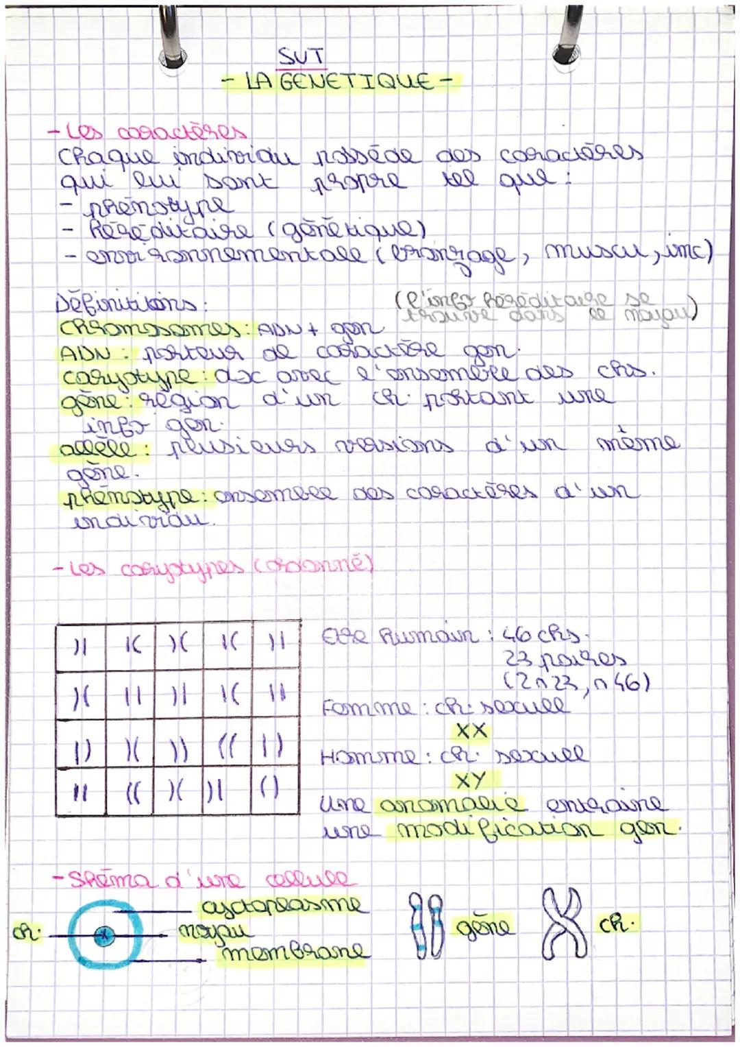 -
OR.
1
SUT
·les caractères
Chaque indivrau posséde des caractères
qui lui sont propre
tel que.
протосуре
- Regedit aire (gone tique)
-envr