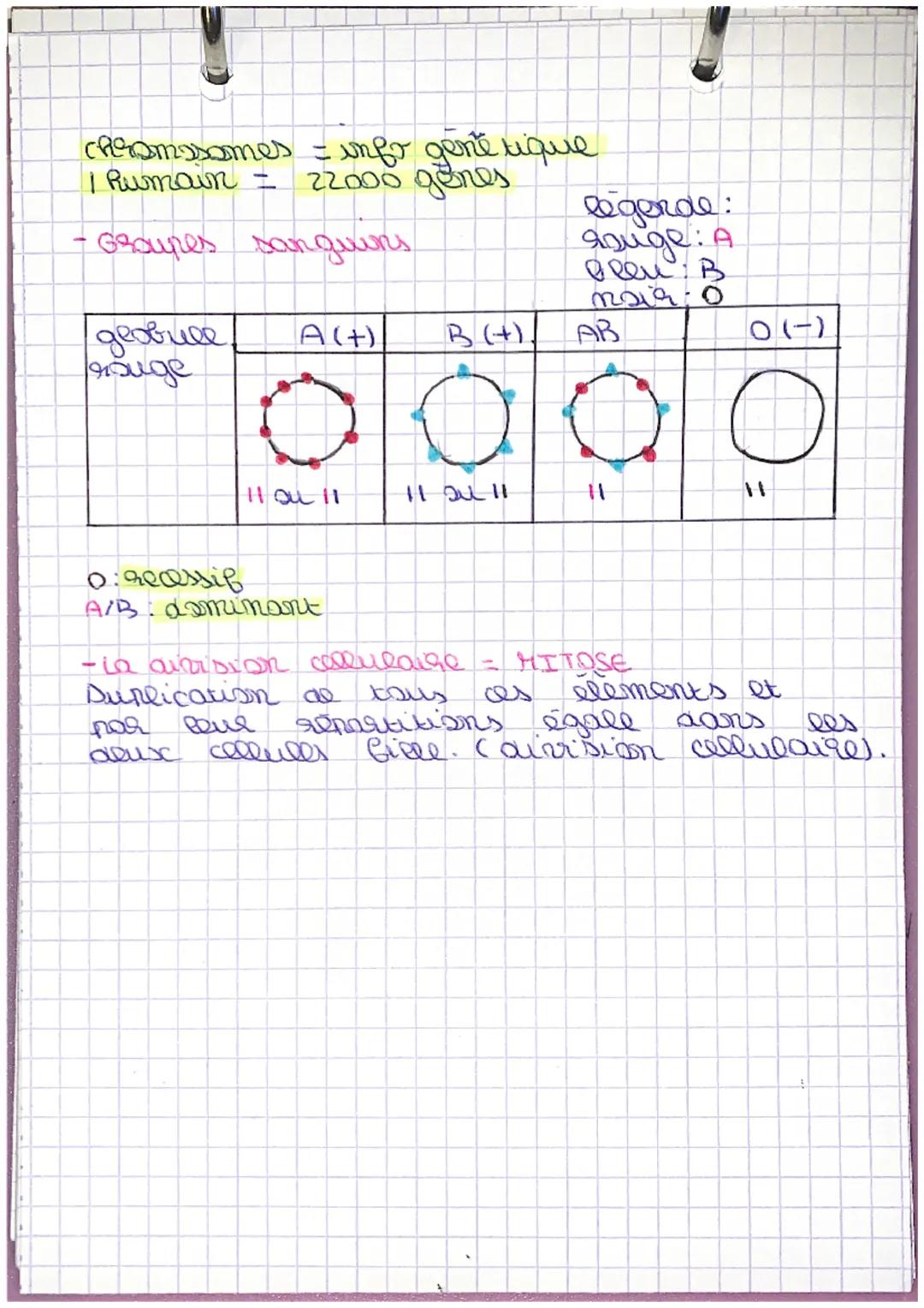 -
OR.
1
SUT
·les caractères
Chaque indivrau posséde des caractères
qui lui sont propre
tel que.
протосуре
- Regedit aire (gone tique)
-envr