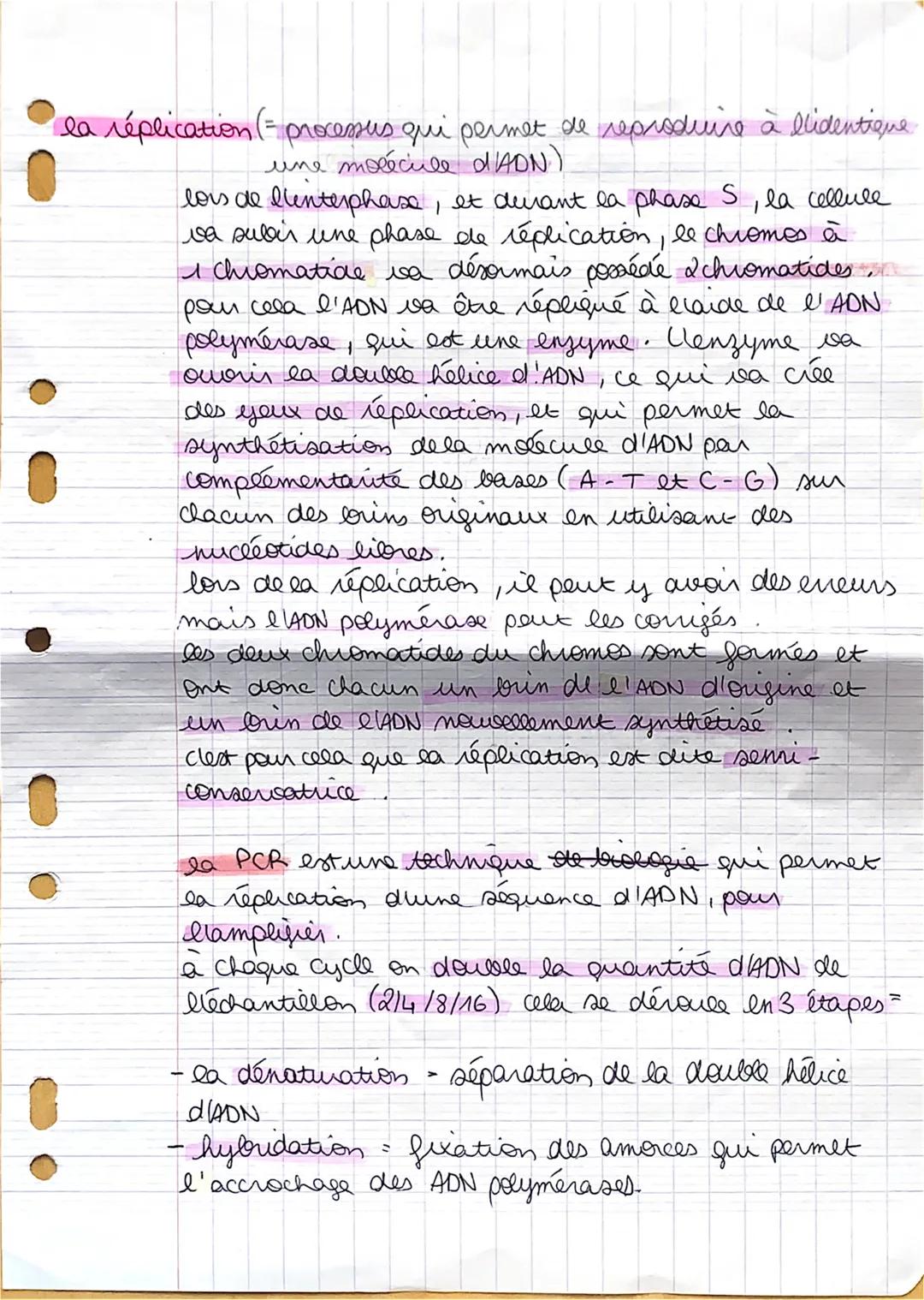 la réplication (= processus qui permet de reproduire à l'identique
une molécule d'ADN.)
lois de l'interphase, et devant la phase 5, la cellu