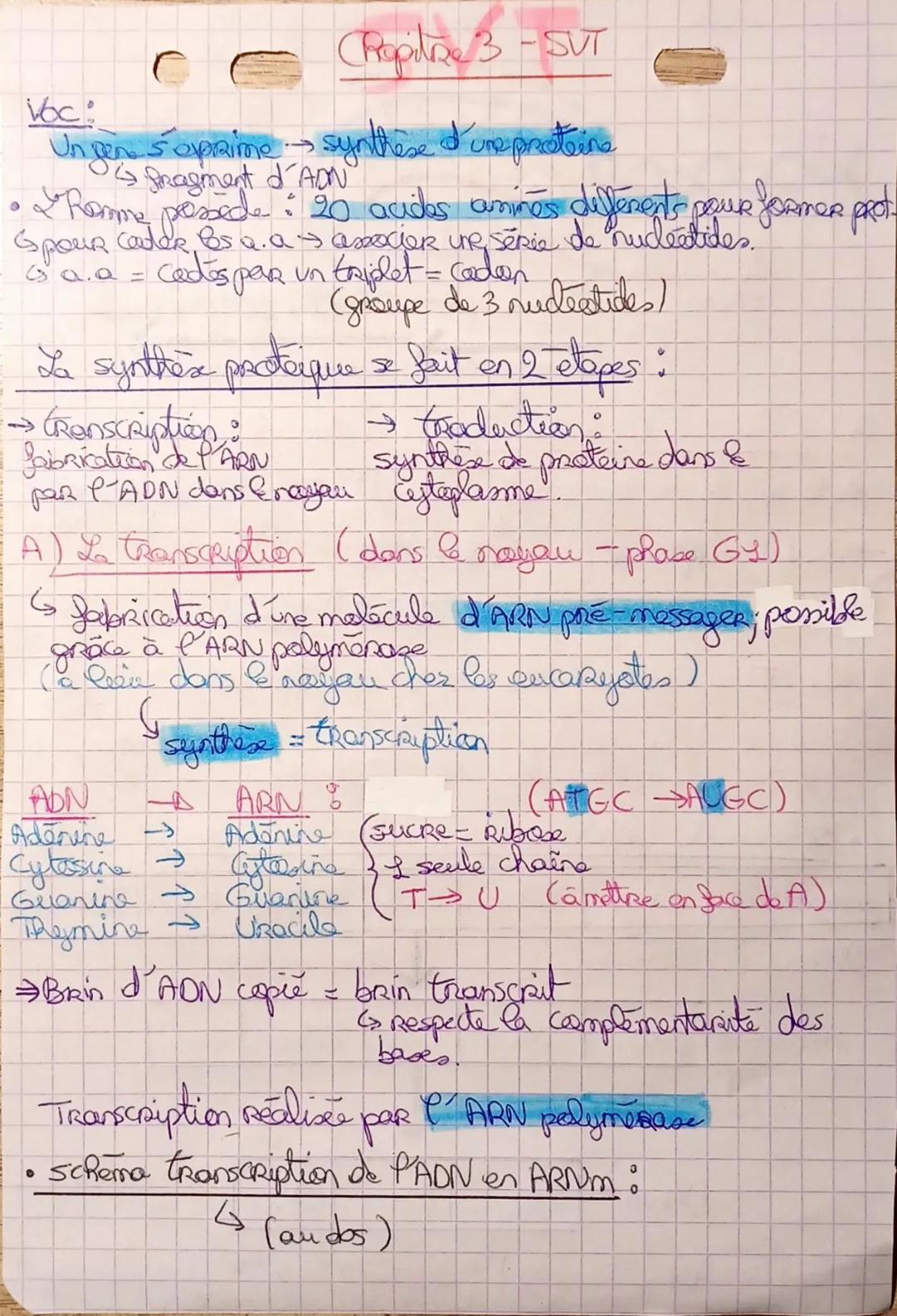# Chapitre 3-SVT
Voc:
Un gen 5 aprime synthèse d'une proteine
→ fragment d'ADN
• Ramme possede: 20 acides amines differents pour former p