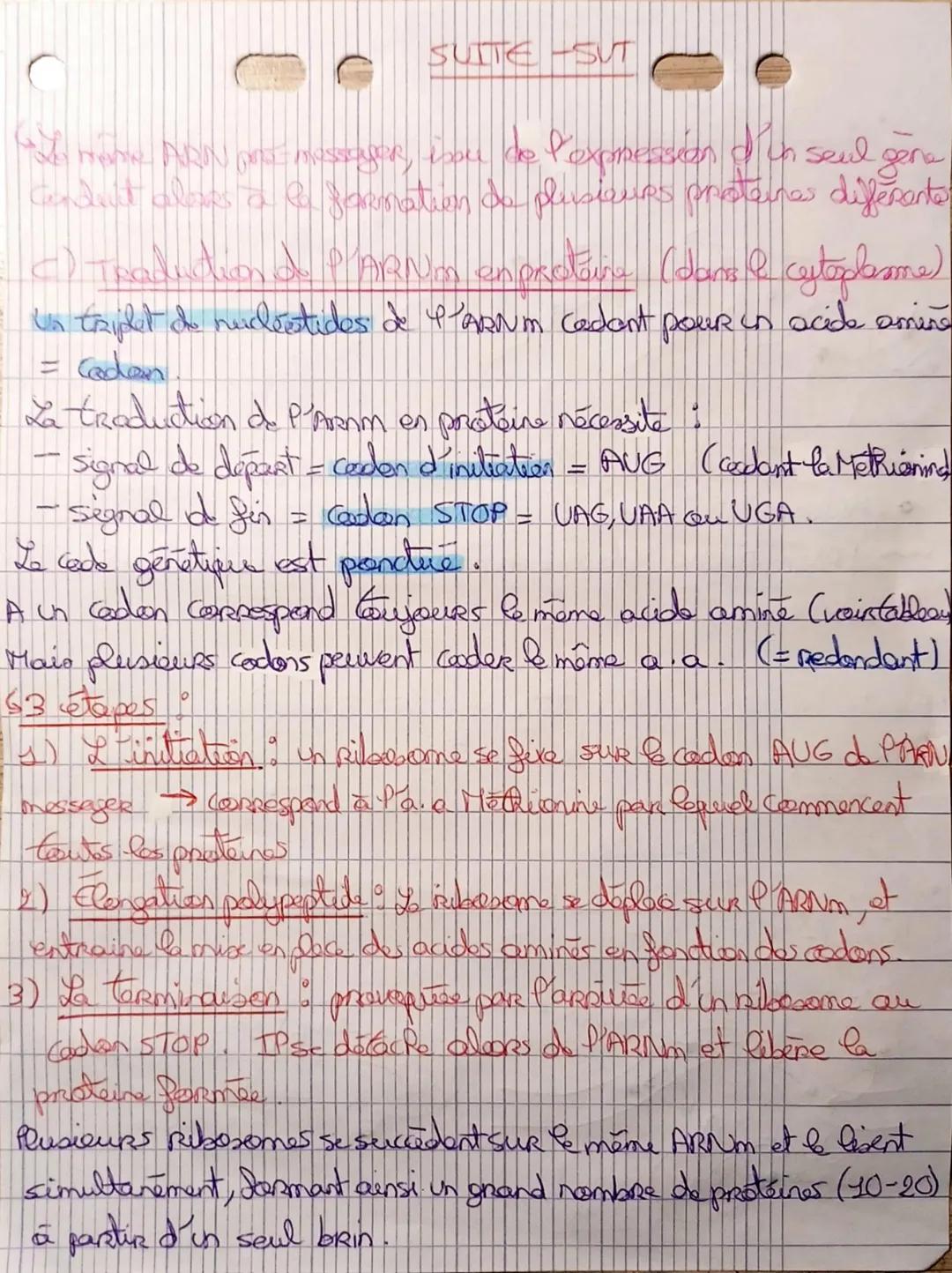 # Chapitre 3-SVT
Voc:
Un gen 5 aprime synthèse d'une proteine
→ fragment d'ADN
• Ramme possede: 20 acides amines differents pour former p