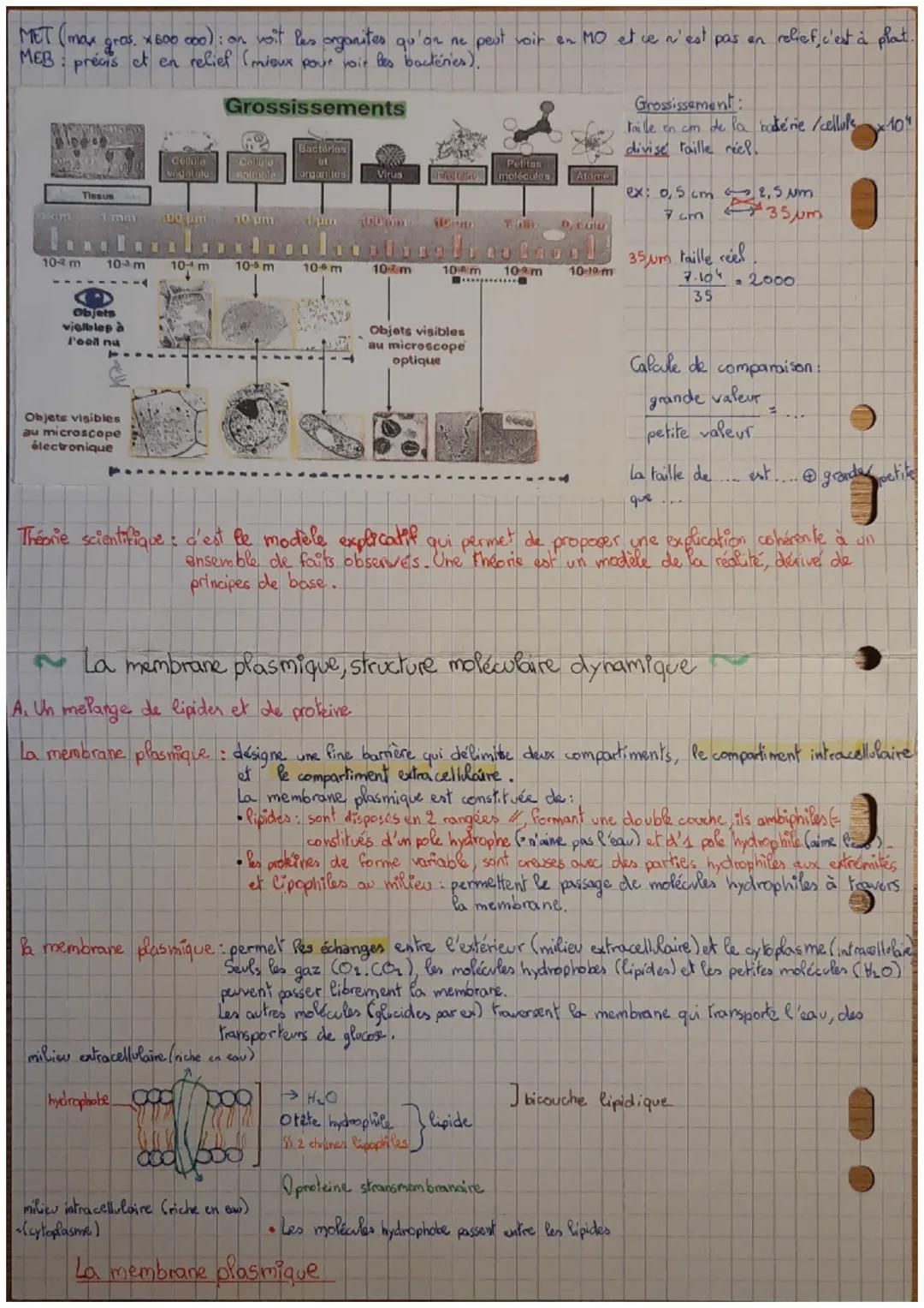 Theme 1:
# UNE STRUCTURE
chap. 1
# COMPLEXE:
## La cellule vivante
Un ensemble de construction d'une théorie cellulaire
A: L'histoire
L'o