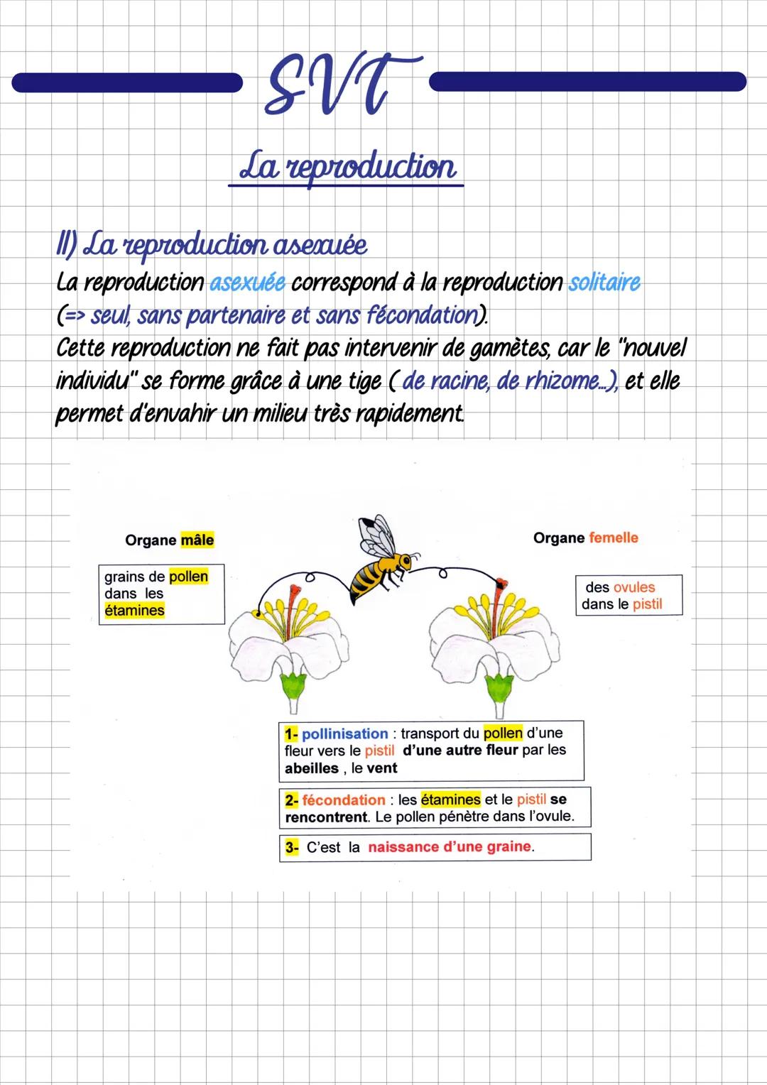 # SVT
La reproduction
1) La reproduction séxuée
- La reproduction sexuée est lorsque 2 êtres vivants se "rencontrent"
pour se reproduire.