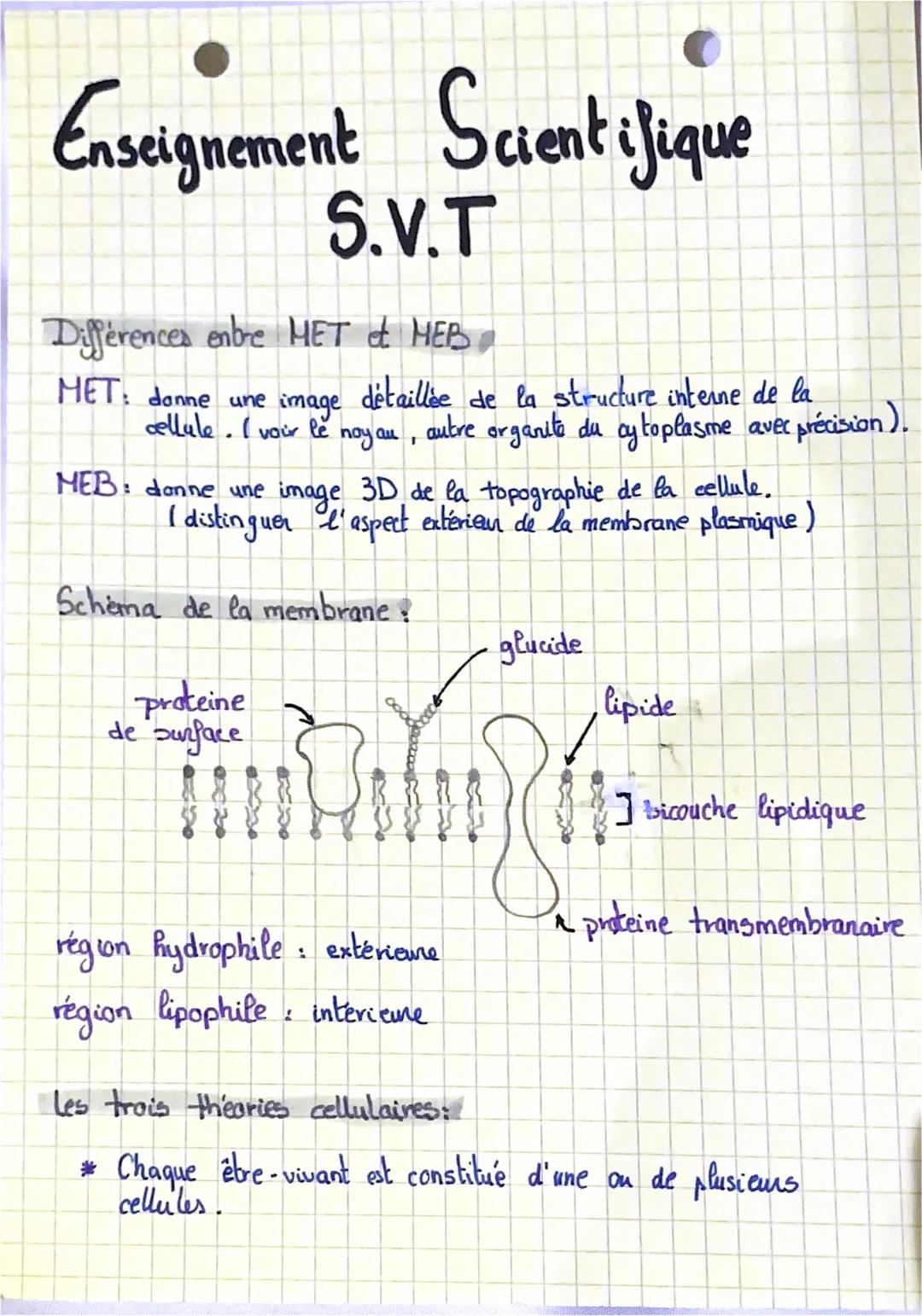 # Enseignement Scientifique
S.V.T
Différences entre MET & HEB
MET: donne une image détaillée de la structure interne de la
cellule. I voi