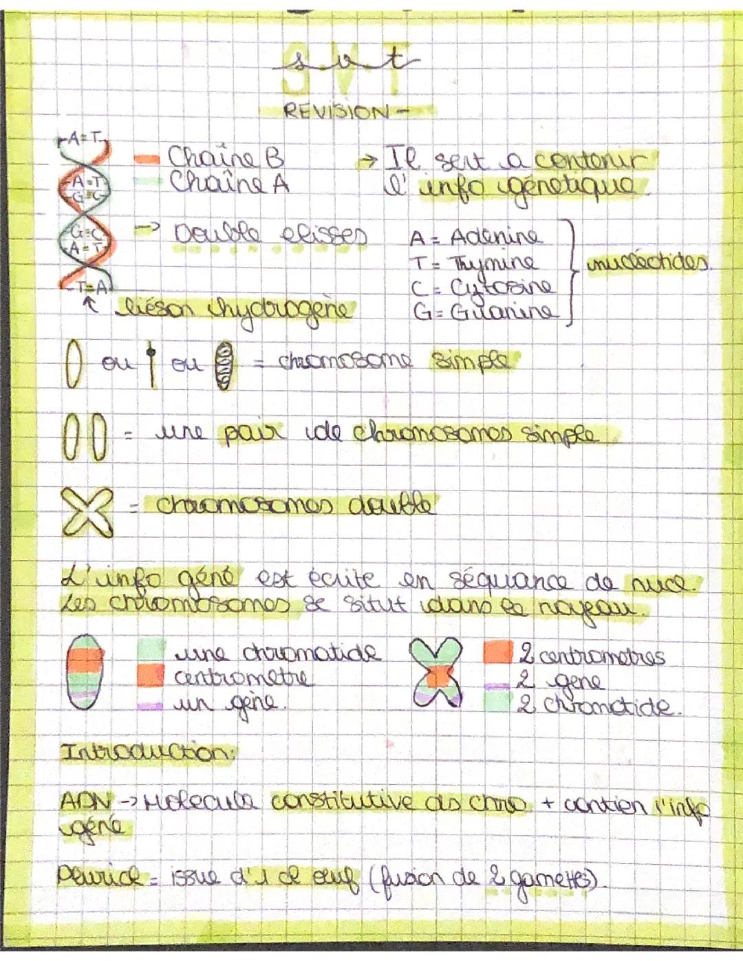 Révision de première sur le chap 1 de génétique 🧬