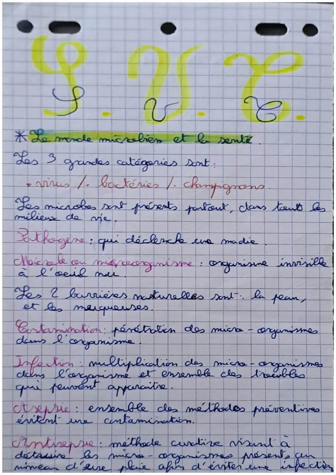 S
V
* Le monde microbien et la senté
Les 3 grandes catégories sont.
= virus /. bactéries /. champignons
Les microbes sent présents partout,