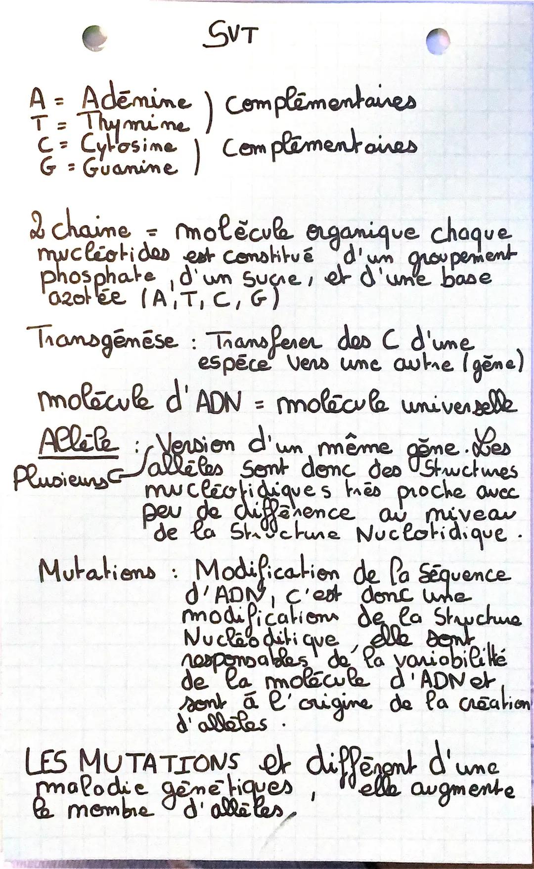 SVT
A = Adenine) complémentaires
T = Thymine) complémentaires
C=Cytosime) Complémentaires
G = Guanine
2 chaine = molecule organique chaque