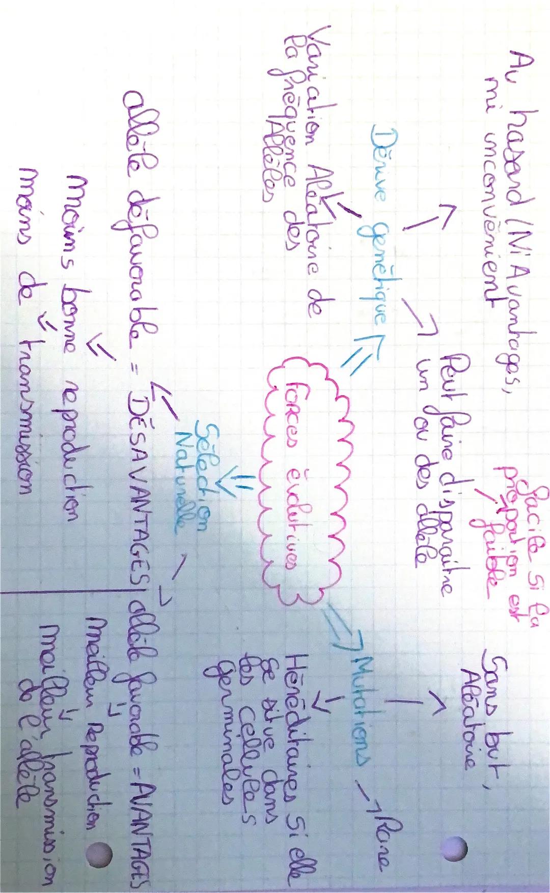 SVT
A = Adenine) complémentaires
T = Thymine) complémentaires
C=Cytosime) Complémentaires
G = Guanine
2 chaine = molecule organique chaque
