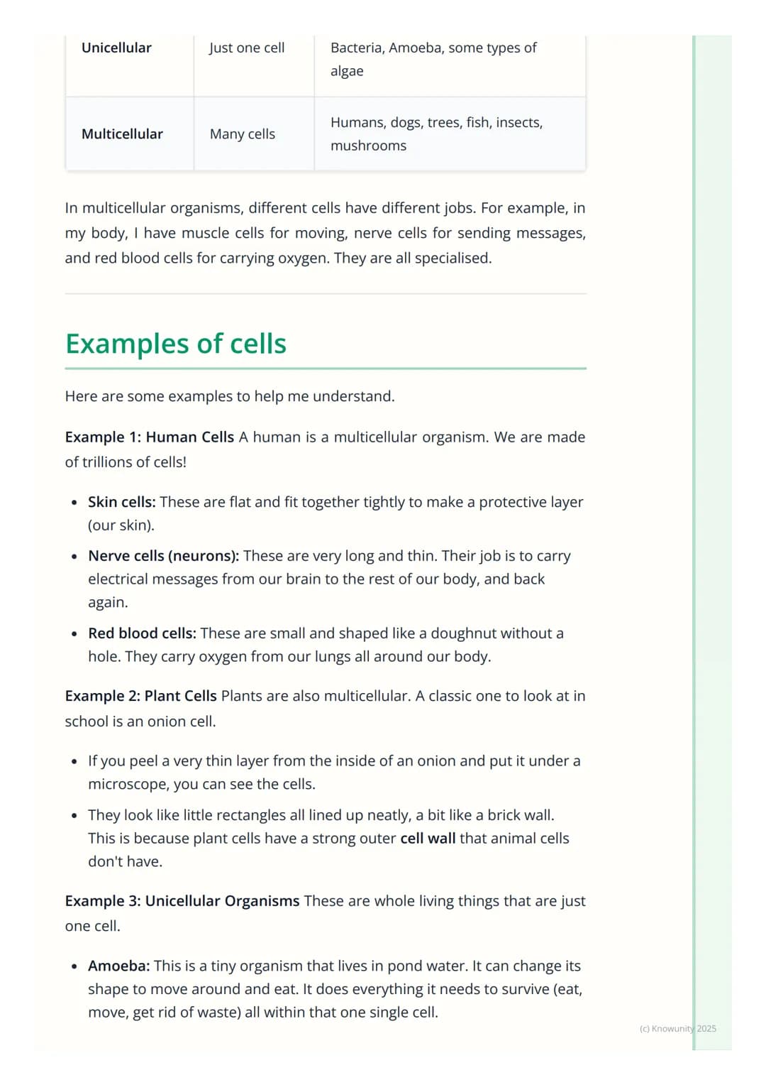 # Introduction to Cells
## What are cells?
All living things, from the biggest blue whale to the smallest insect, are made
of cells. They