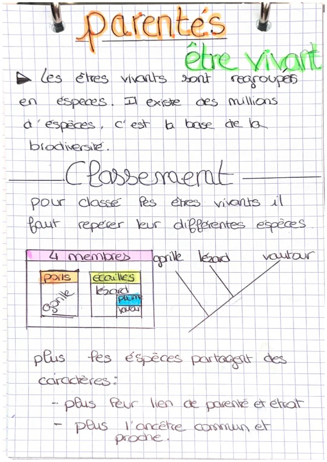 # parentes!
être vivant
Les étres vivants sont regroupers
en especes. I existe des millions
a'espèces, c'est la base de la
brodiversite.