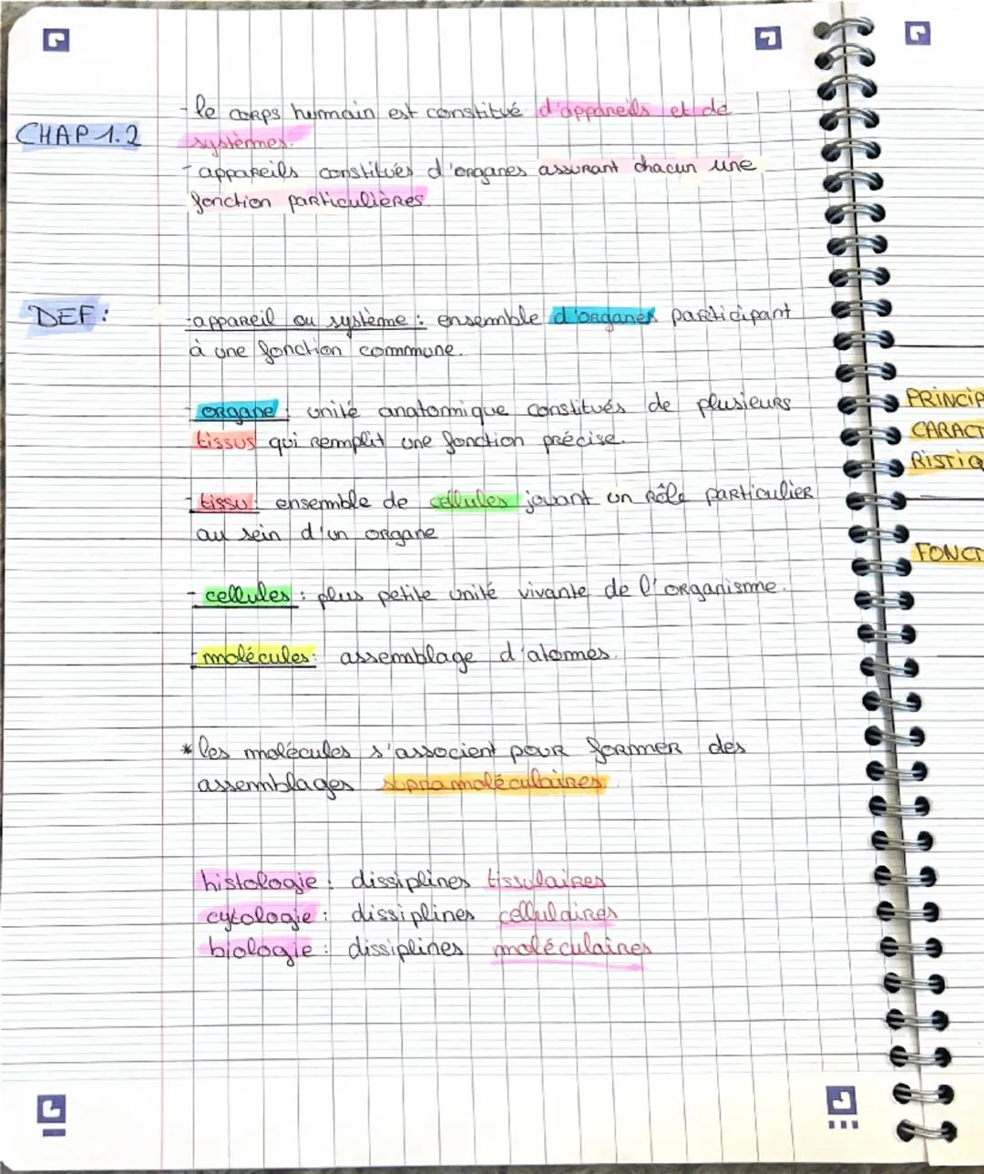 De l’organe aux molécules
