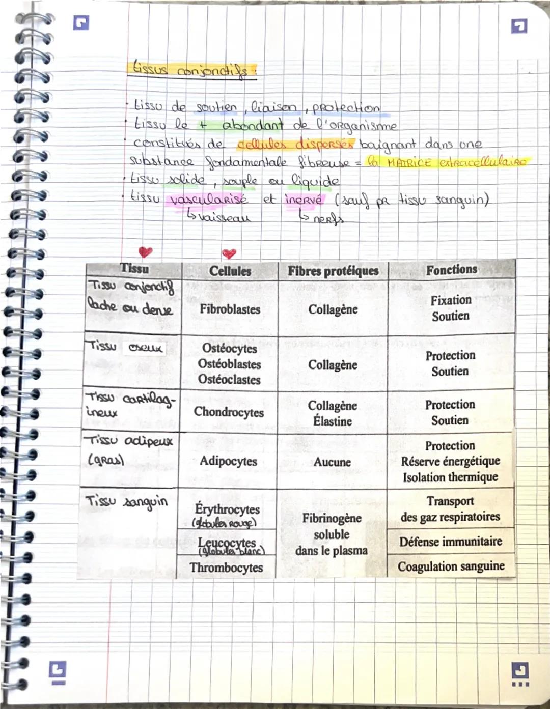 - le corps
humain est constitué d'appareils et de
CHAP 1.2
systèmes
- appareils constitues d'enganes assurant chacun une
fonction particuliè
