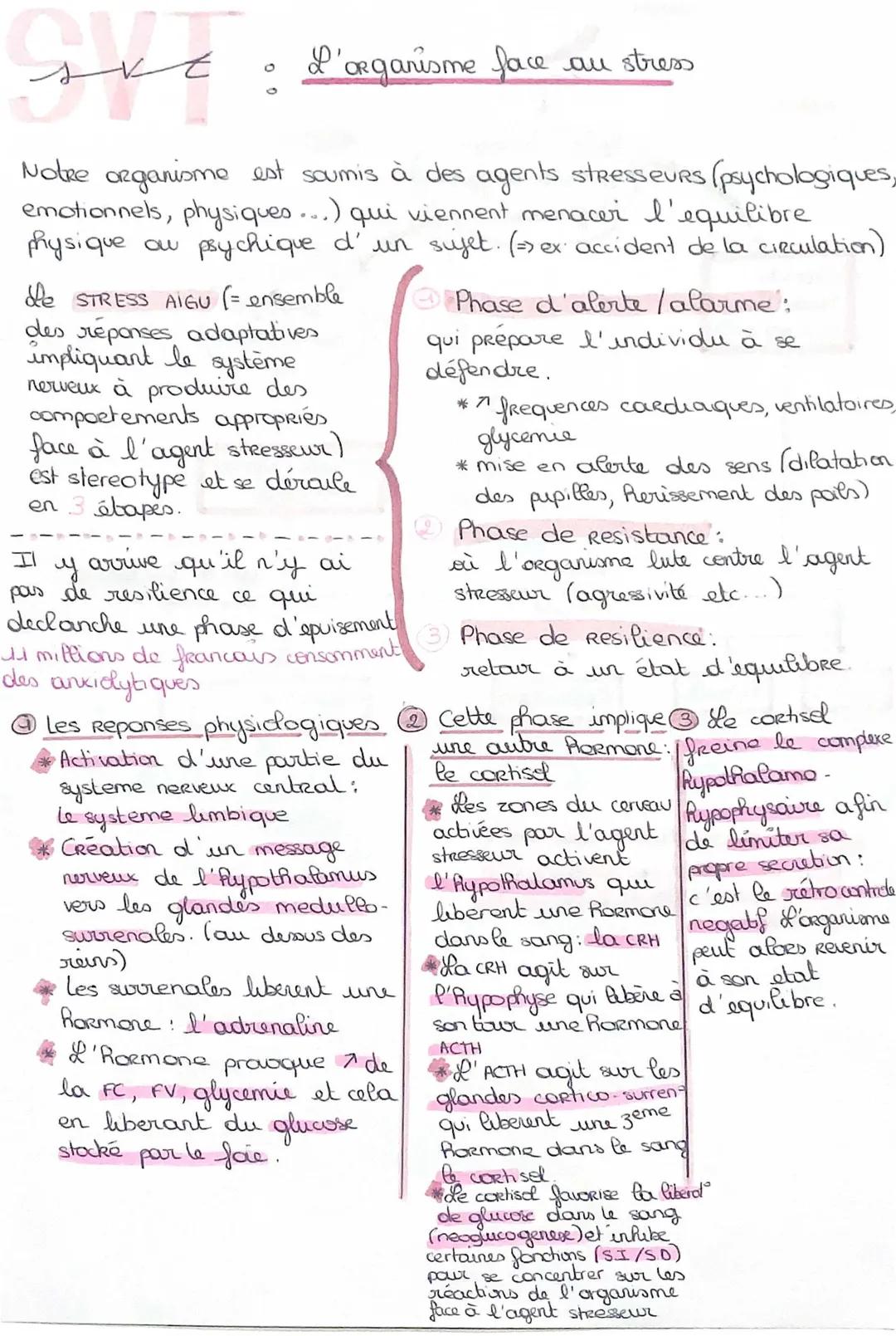 SVT: L’organisme face au stress