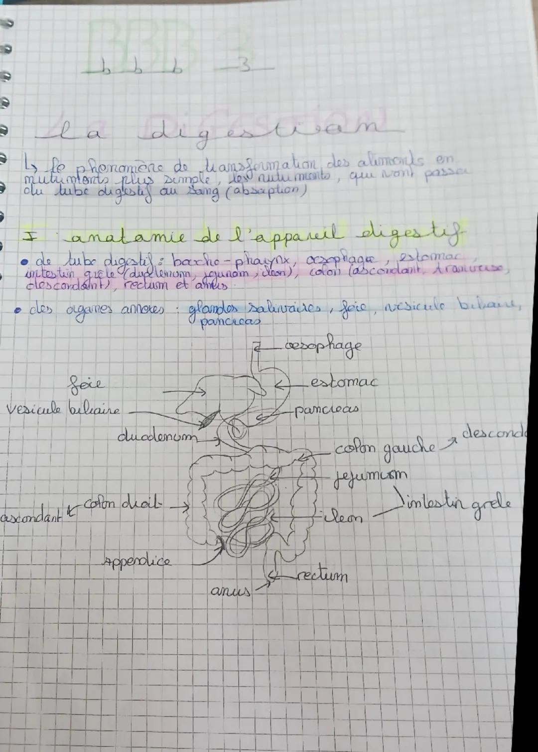 # la digestivan
le phenomene de transformation, des aliments en
mutumonts plus simple, lest nutu monts, que vont passer
du tube digestif au