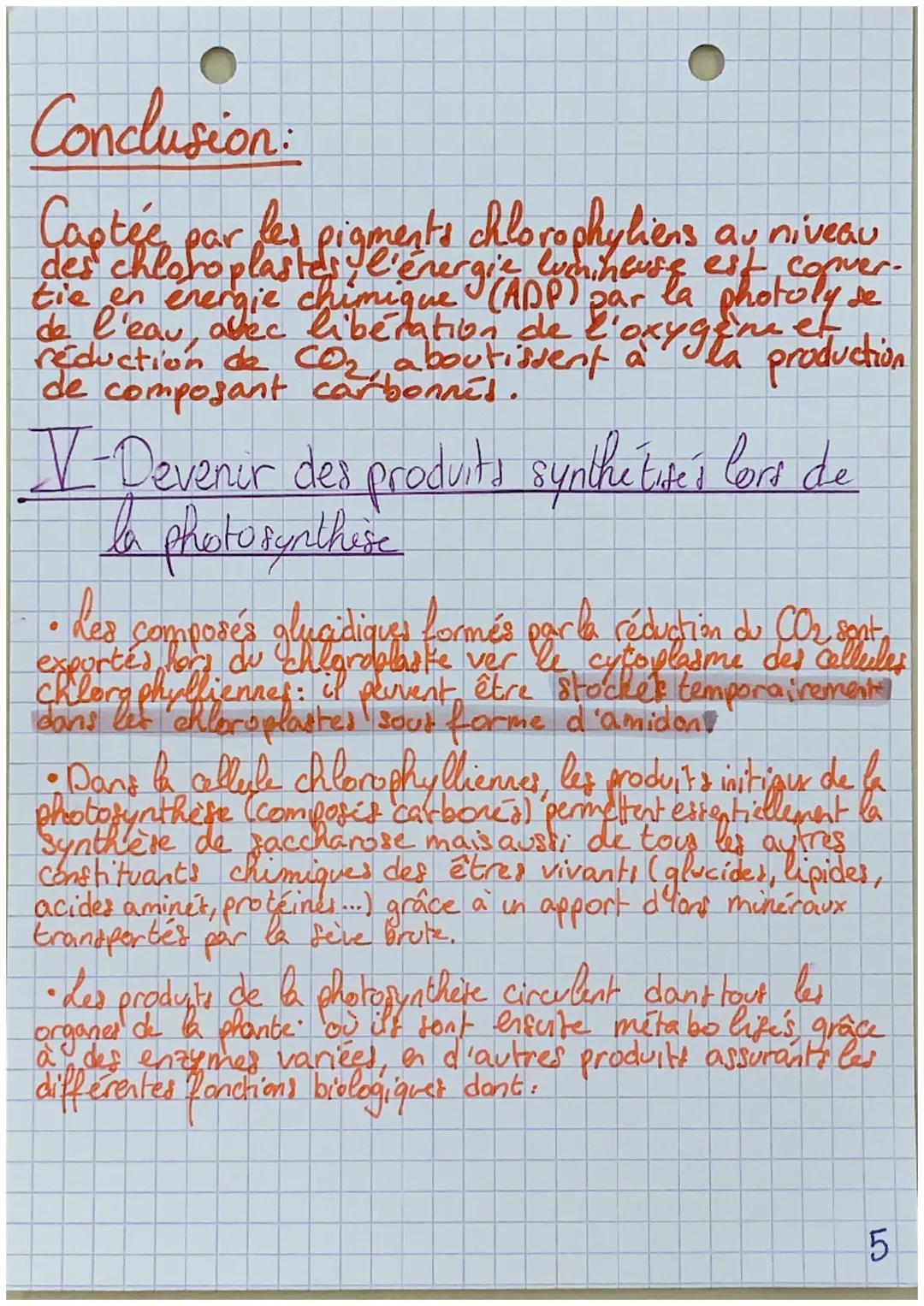 # Chapitre 2
La plante, productrice
de matière organique
Les feuilles castent la lumière, Grace à leurs pats
a
absorbants les plantes récupè
