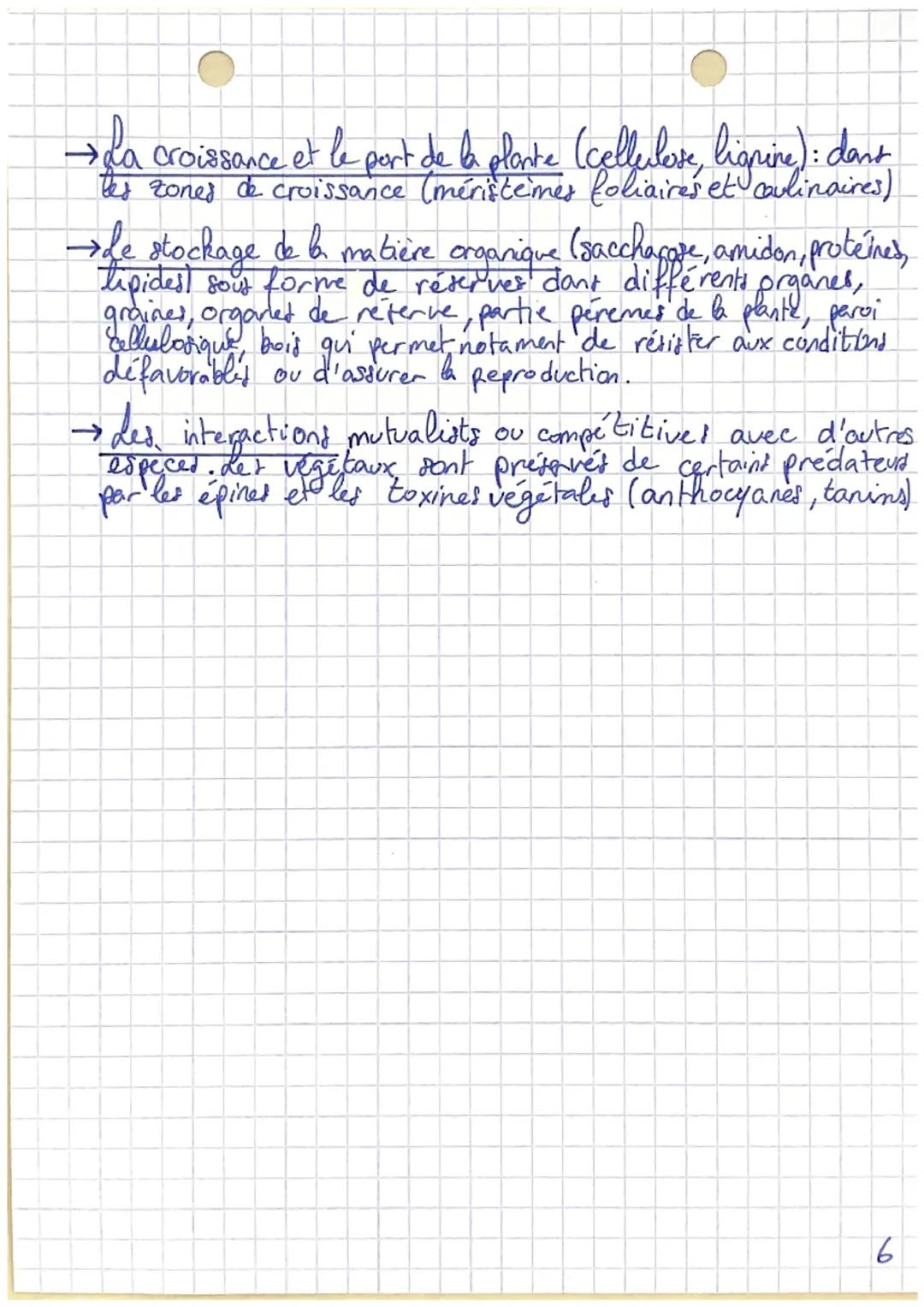 # Chapitre 2
La plante, productrice
de matière organique
Les feuilles castent la lumière, Grace à leurs pats
a
absorbants les plantes récupè