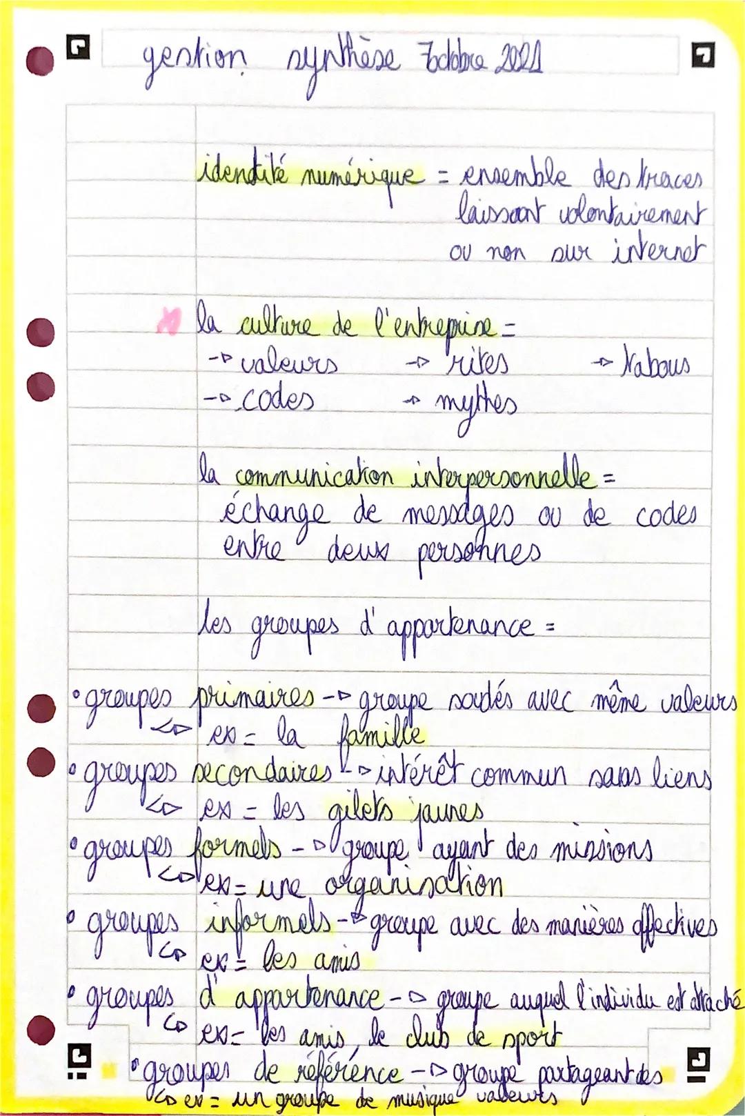 gestion - culture de l’entreprise, groupes d’appartenance, relations, et autorités