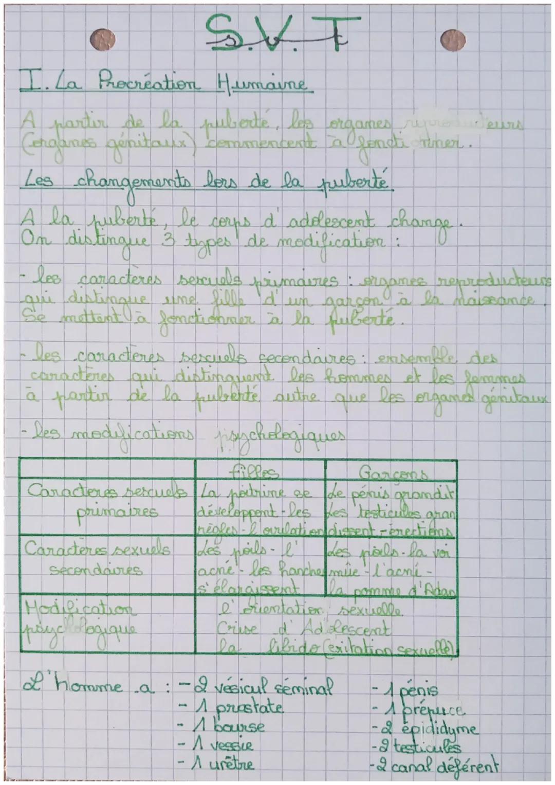 # S.V.T
I. La Procréation Humaine
A partir de la puberté, les organes reproducteurs
(Conganes génitaux) commencent a fondi tiher.
Les cha