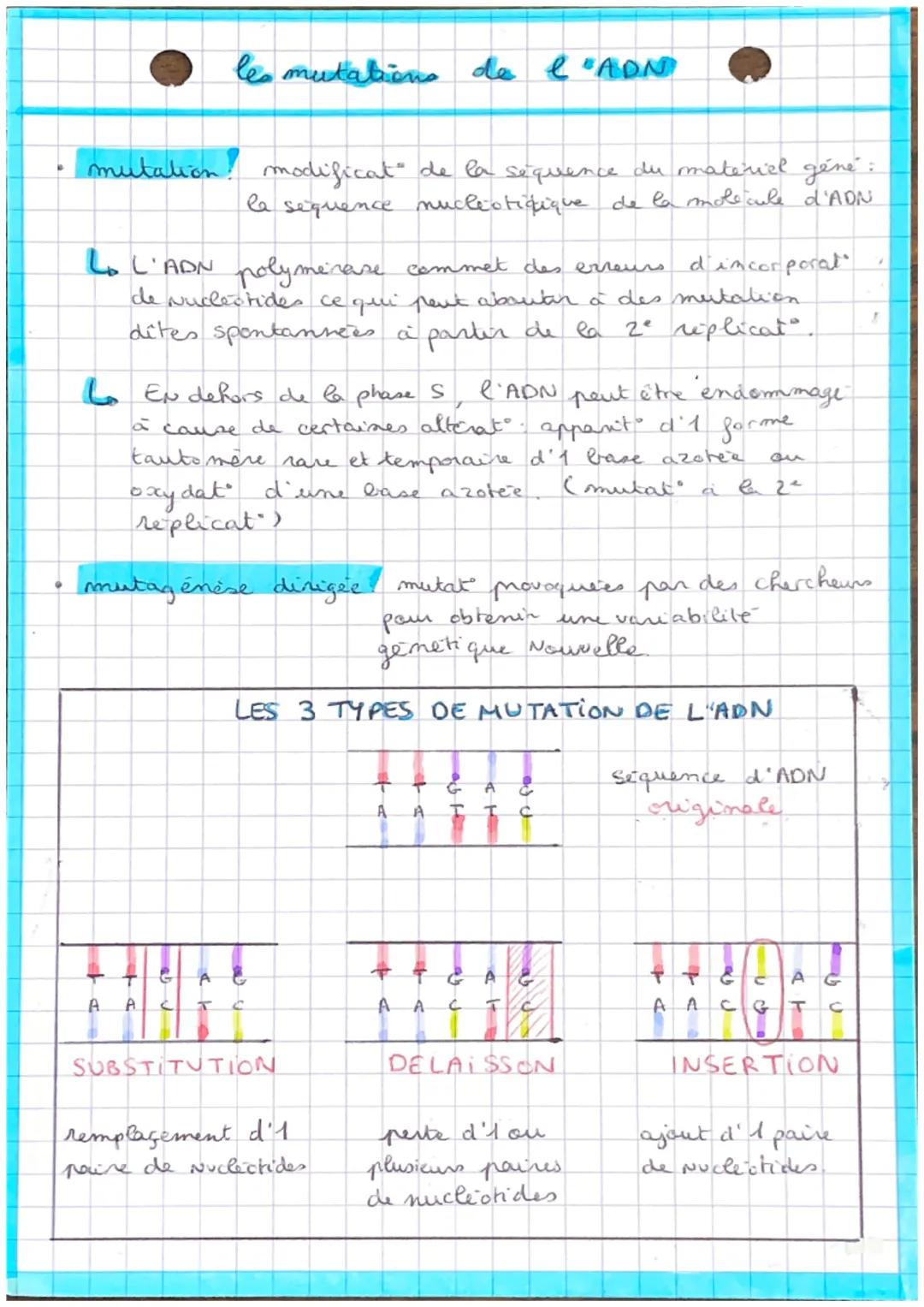 les mutations de l'ADN
mutation. modificat de la séquence du material géné:
la séquence muclistiqique de la molecule d'ADN
Lo L'ADN polymera
