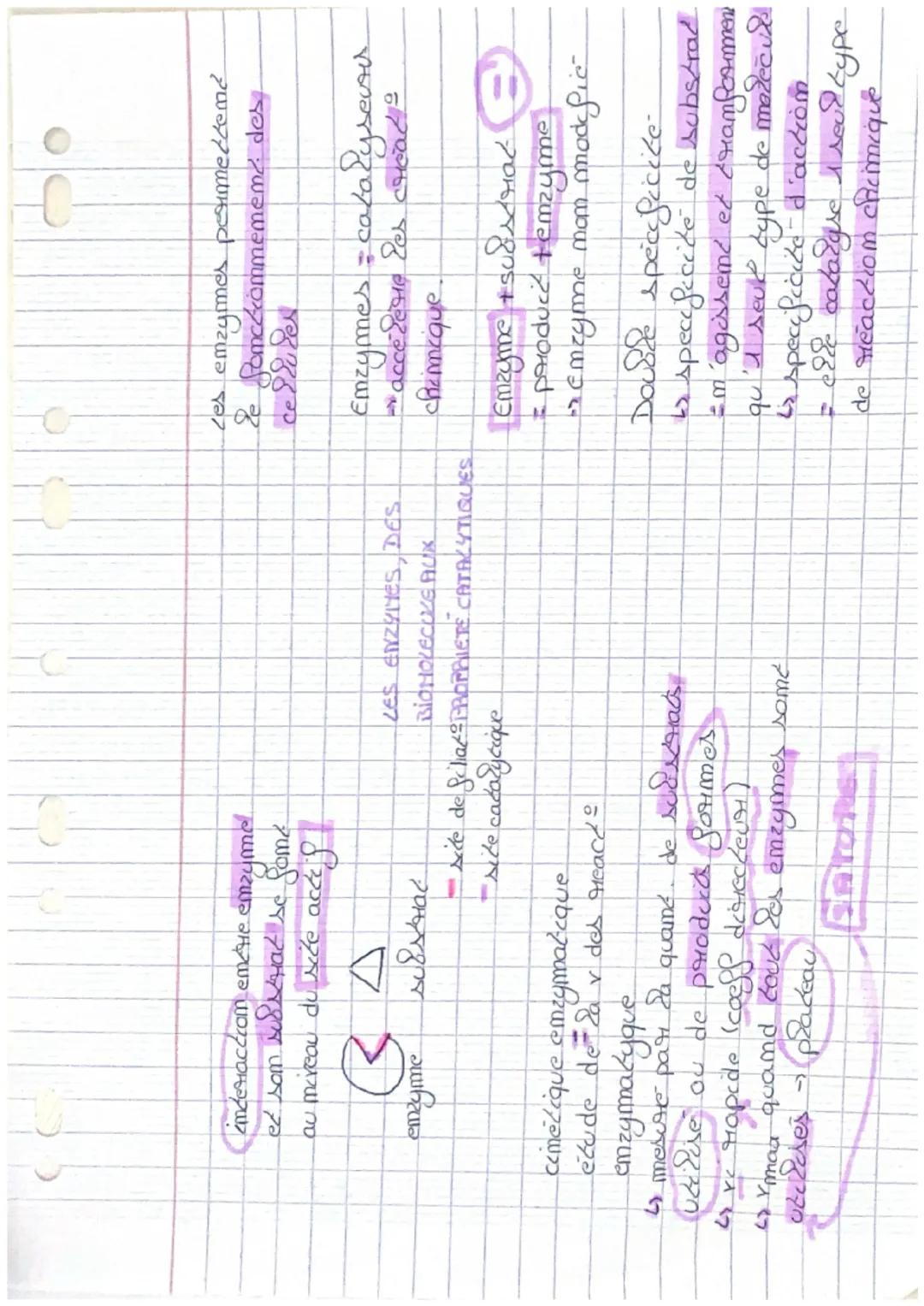 imderactiom emerне етгуте
et som substrat se Some
au mireau du site acces
emzyme
substa
LES ENZYMES, DES
BIOHOLECIVE AUX
- sice de filiax