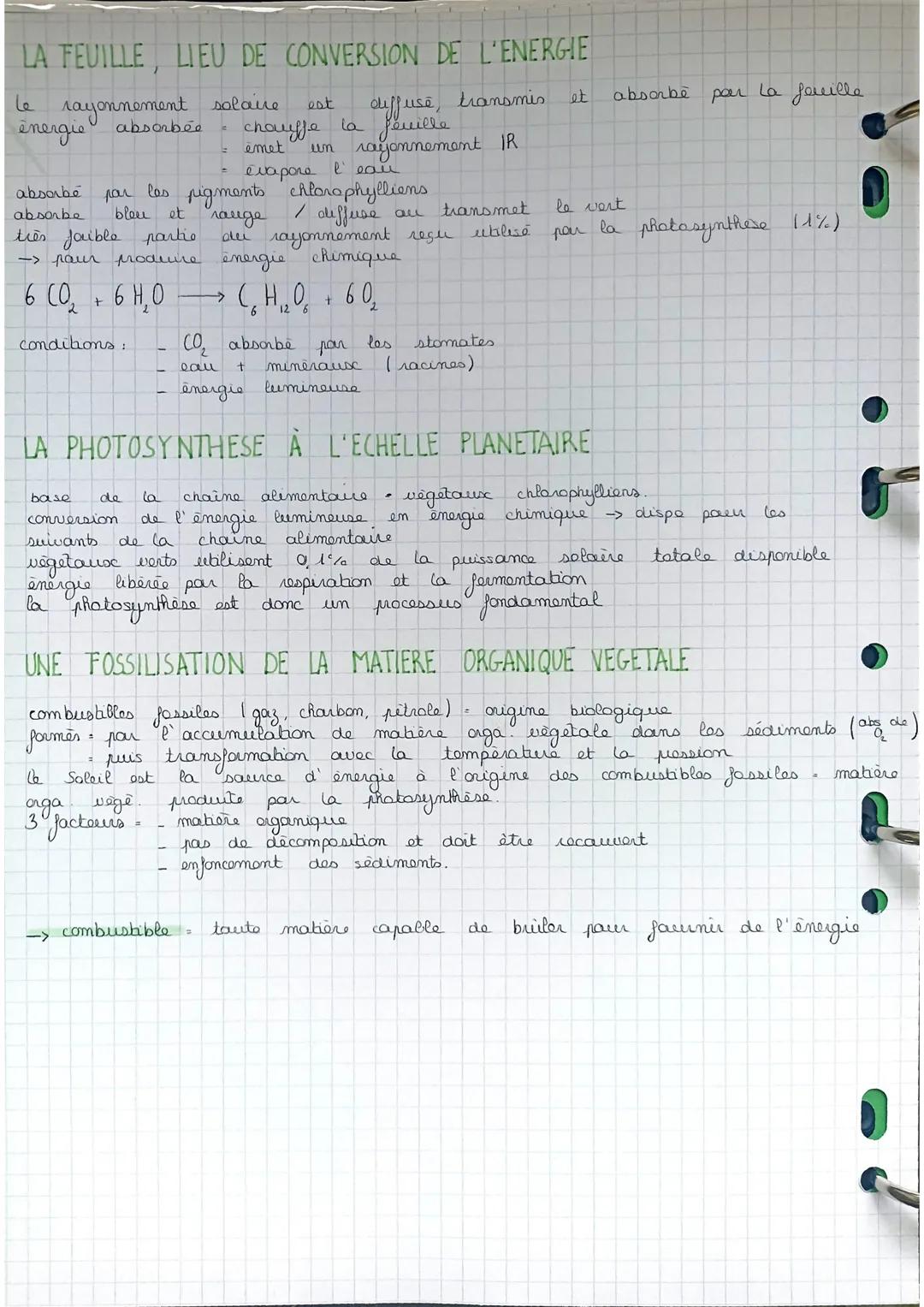 # chapitres laphotosynthroe
DEFINITIONS
-> photosynthese ensemble des transformations chimiques qui permettent
ause vegetduse chlorophylli