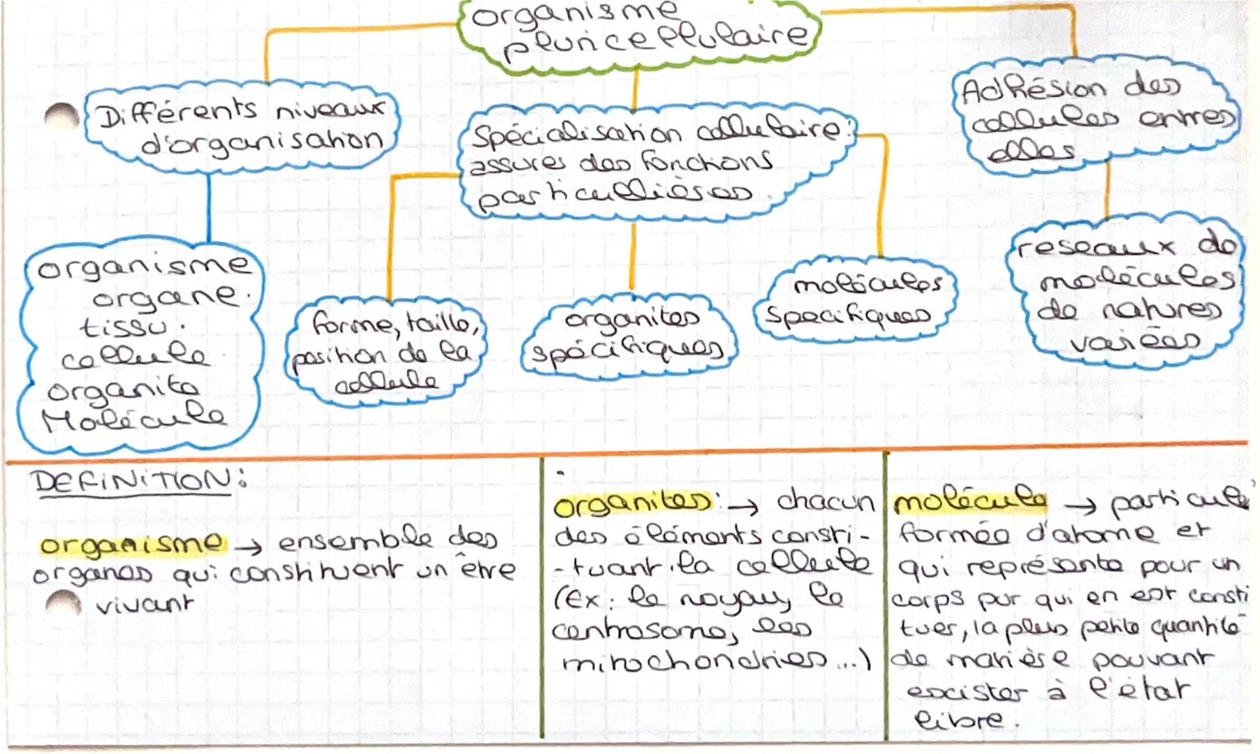 DEF:
organe
Un organe est une partie
du corps d'un être vivant
remplissant uno fonction déterminée.
SVT
tissu
→ un tissu est un ensemble de