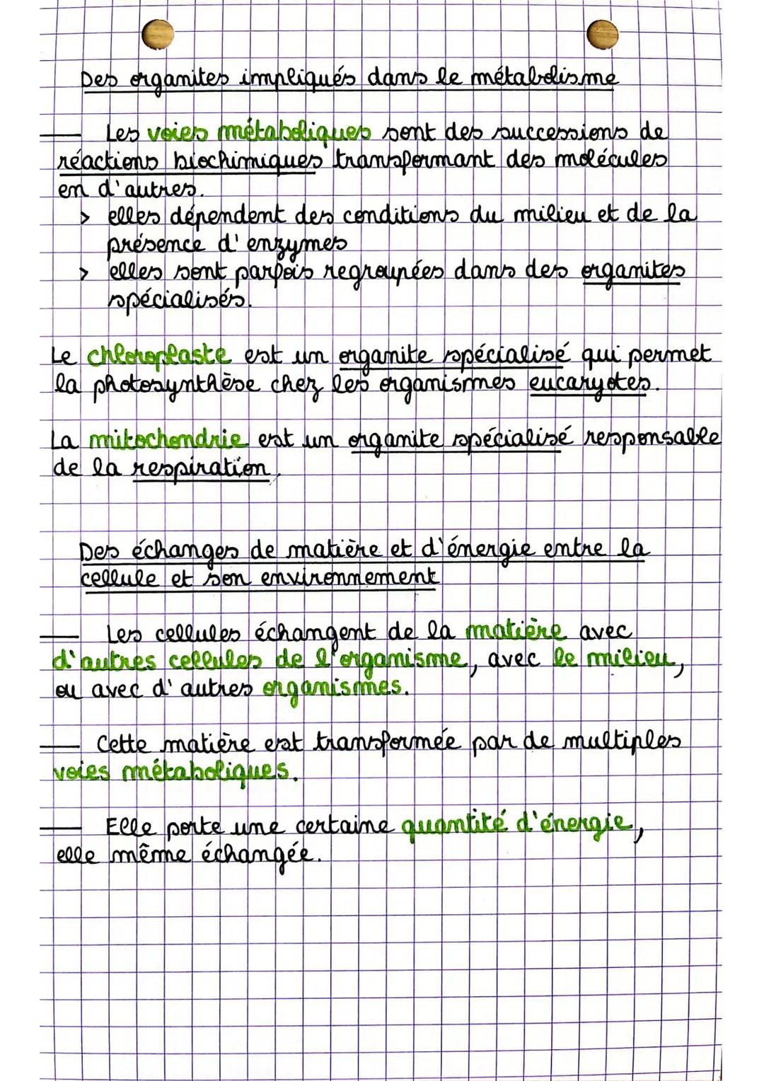 # ciences
- le métabolisme
Des transformations chimiques au sein des
cellules
Une cellule chlorophyllienme exposée à la lumière
en présen