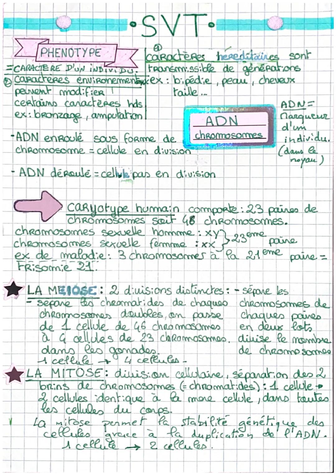 SVT•
PHENOTYPE 7 Caractères hereditaires sont
CARACTERE D'UN INDIVIDU. transmissible de générations
caracteres environementurex: bipédie, pe