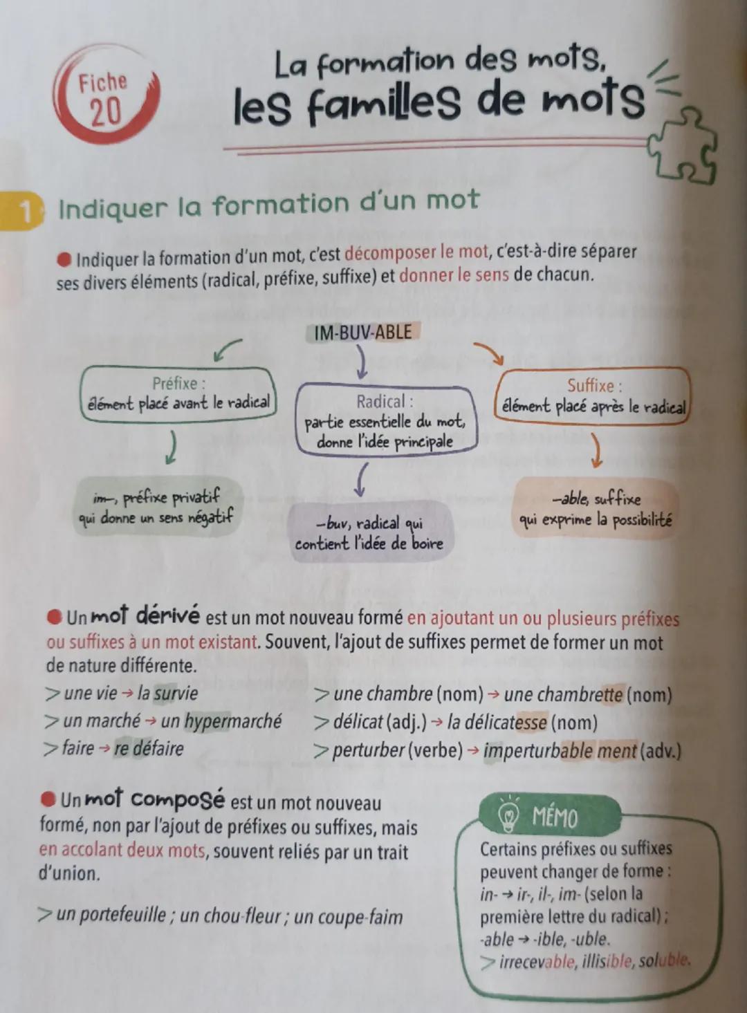 Fiche
20
La formation des mots,
les familles de mots
1 Indiquer la formation d'un mot
Indiquer la formation d'un mot, c'est décomposer le mo